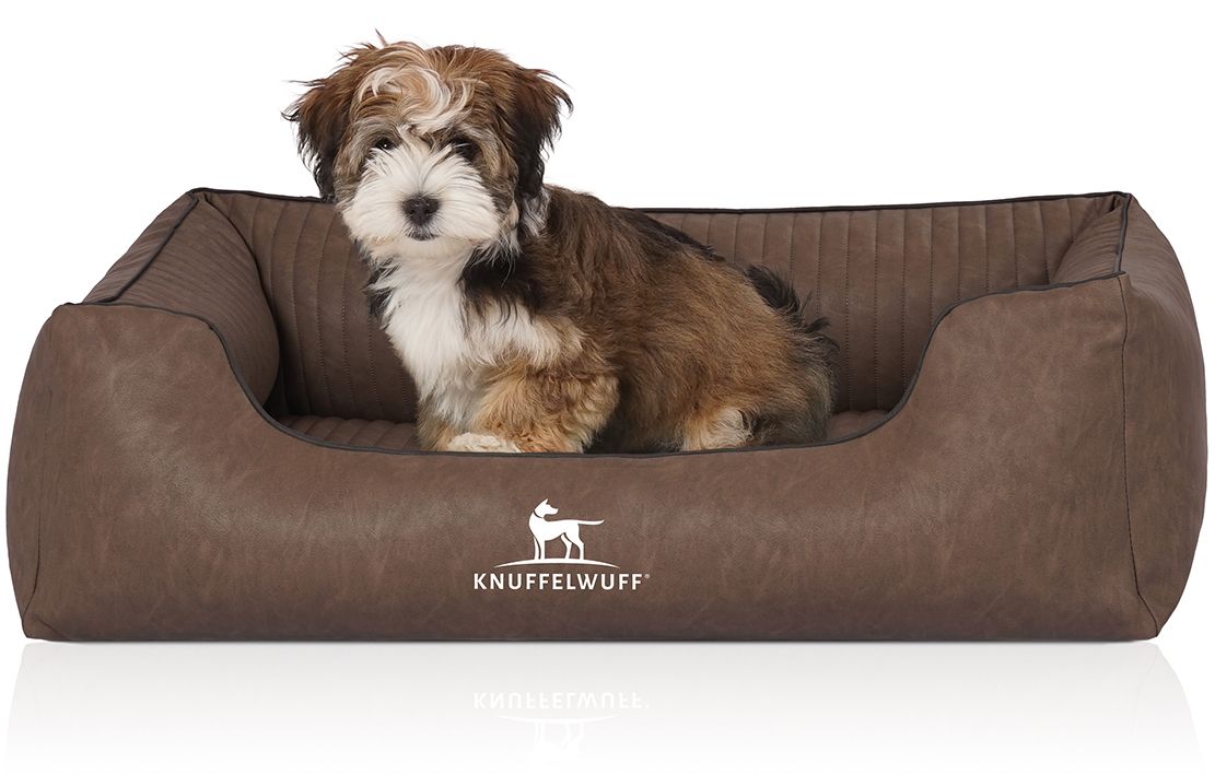 Braunes Hundebett mit einem kleinen Hund. Das Bett hat das Knuffelwuff Logo.