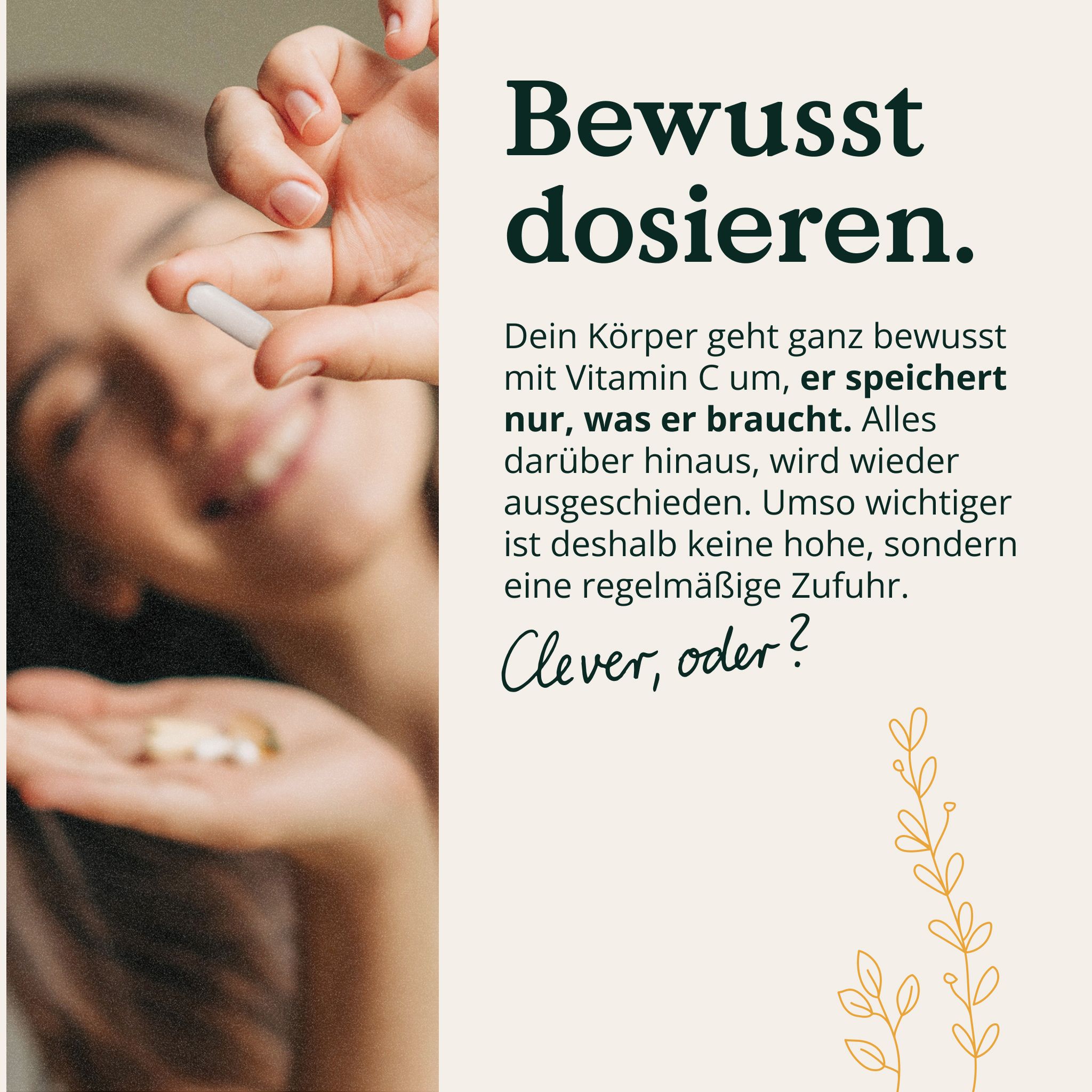 NATURE LOVE® Natürliches Vitamin C aus Bio Acerola Extrakt - Hochdosiert - 180 Kapseln