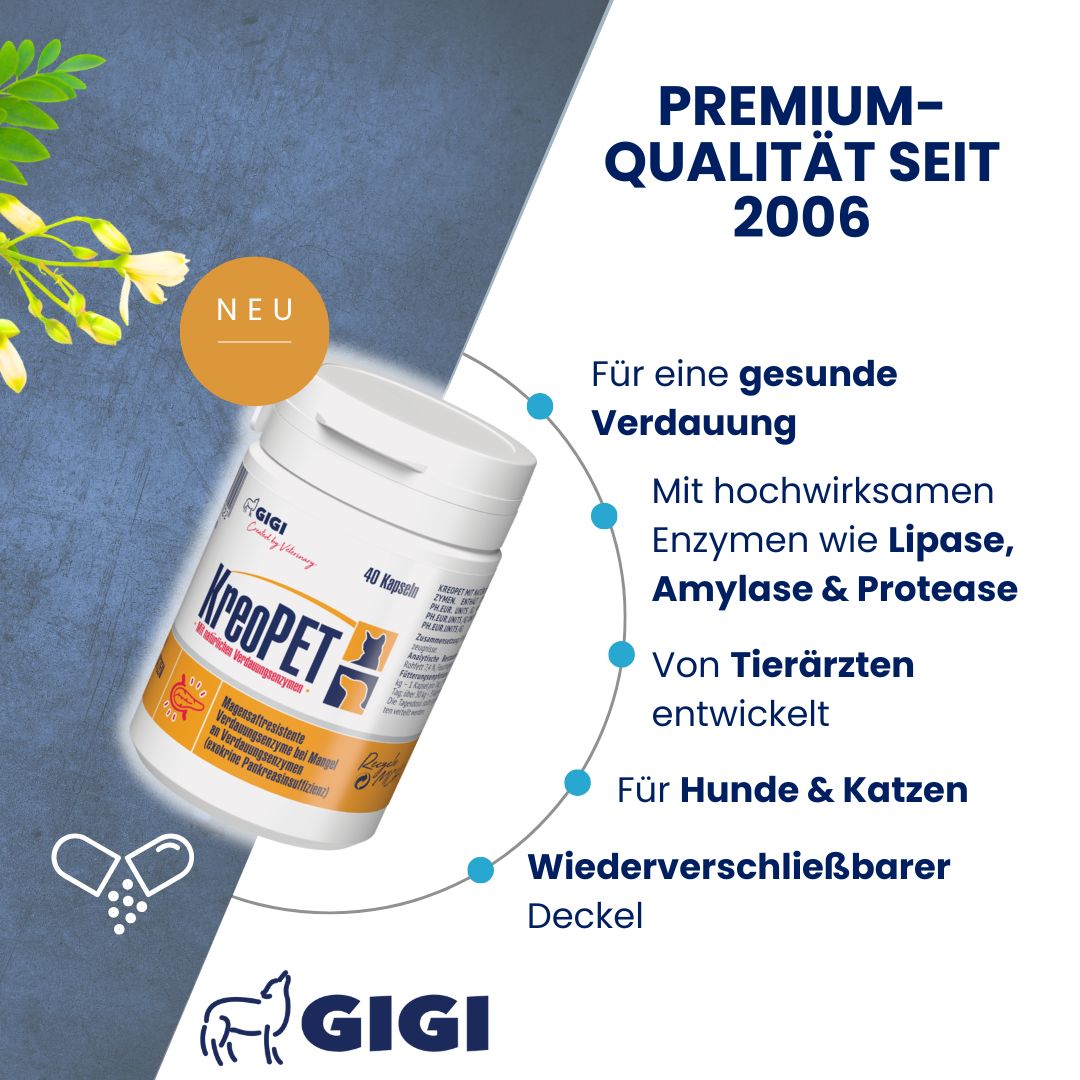 Weiße Kapseln in einer weißen Dose. Aufschrift: GIGI VET KREOPET. Enthält Enzyme für Hunde und Katzen. Wiederverschließbarer Deckel.