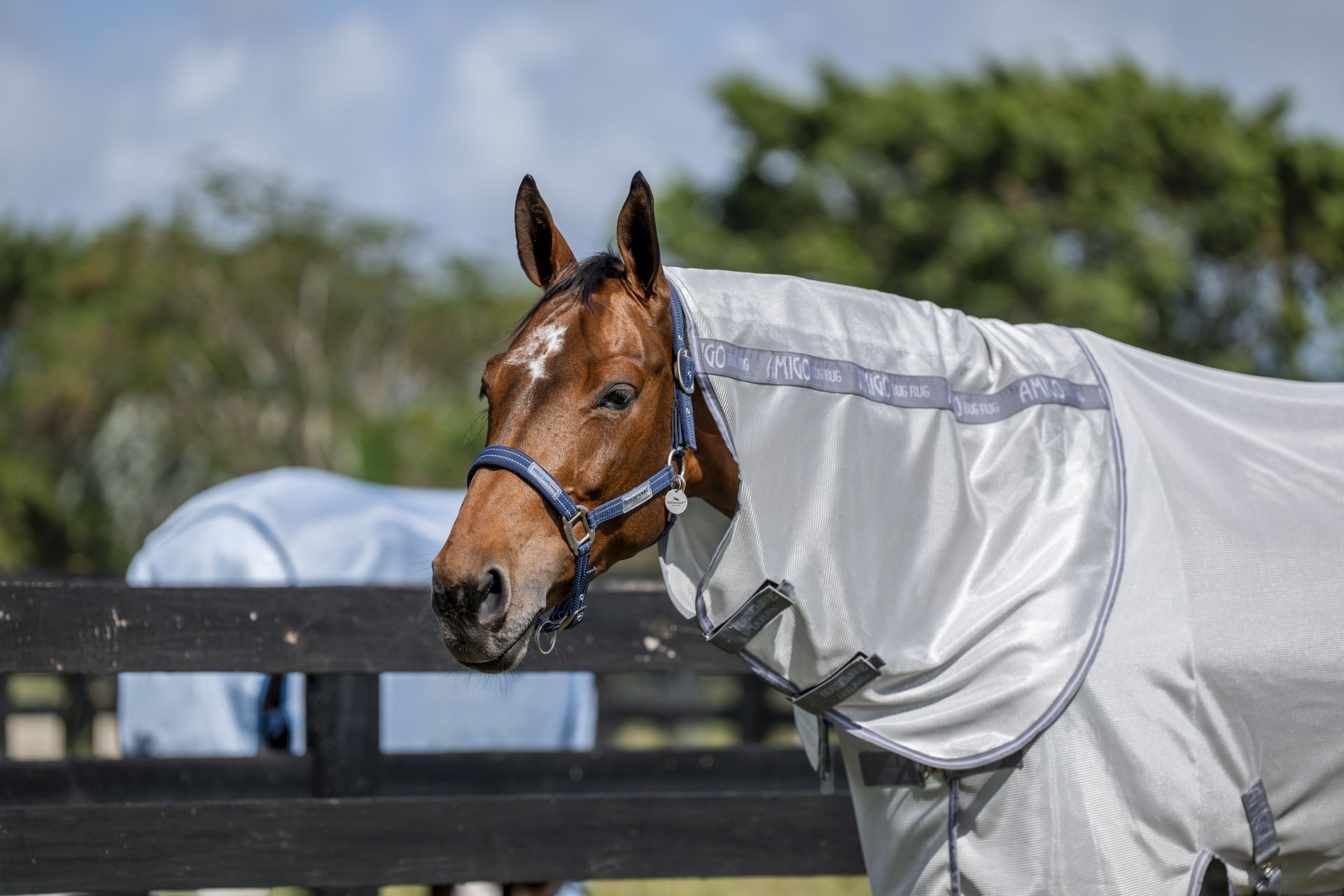 Horseware Fliegendecke Amigo Bug Rug Plus