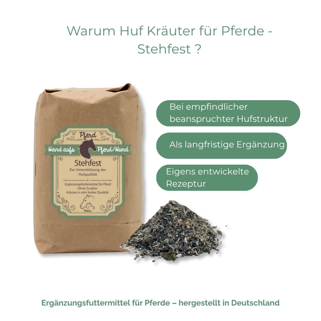 Braune Papiertüte mit Kräutern. Text: Hand aufs Pferd/Hund, Stehfest. Grün-weiße Etiketten. Haufen Kräuter daneben. Text in Grün.