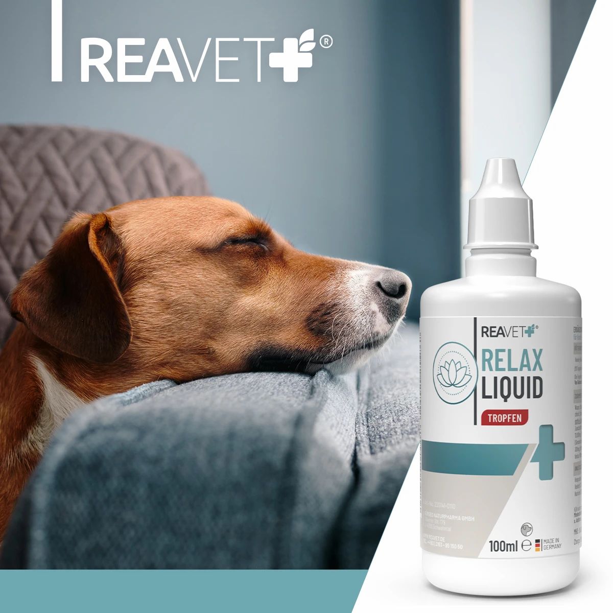 Hund liegt auf einer Person. ReaVET Relax Liquid Flasche. Text: ReaVET Relax Liquid Tropfen. 100ml.