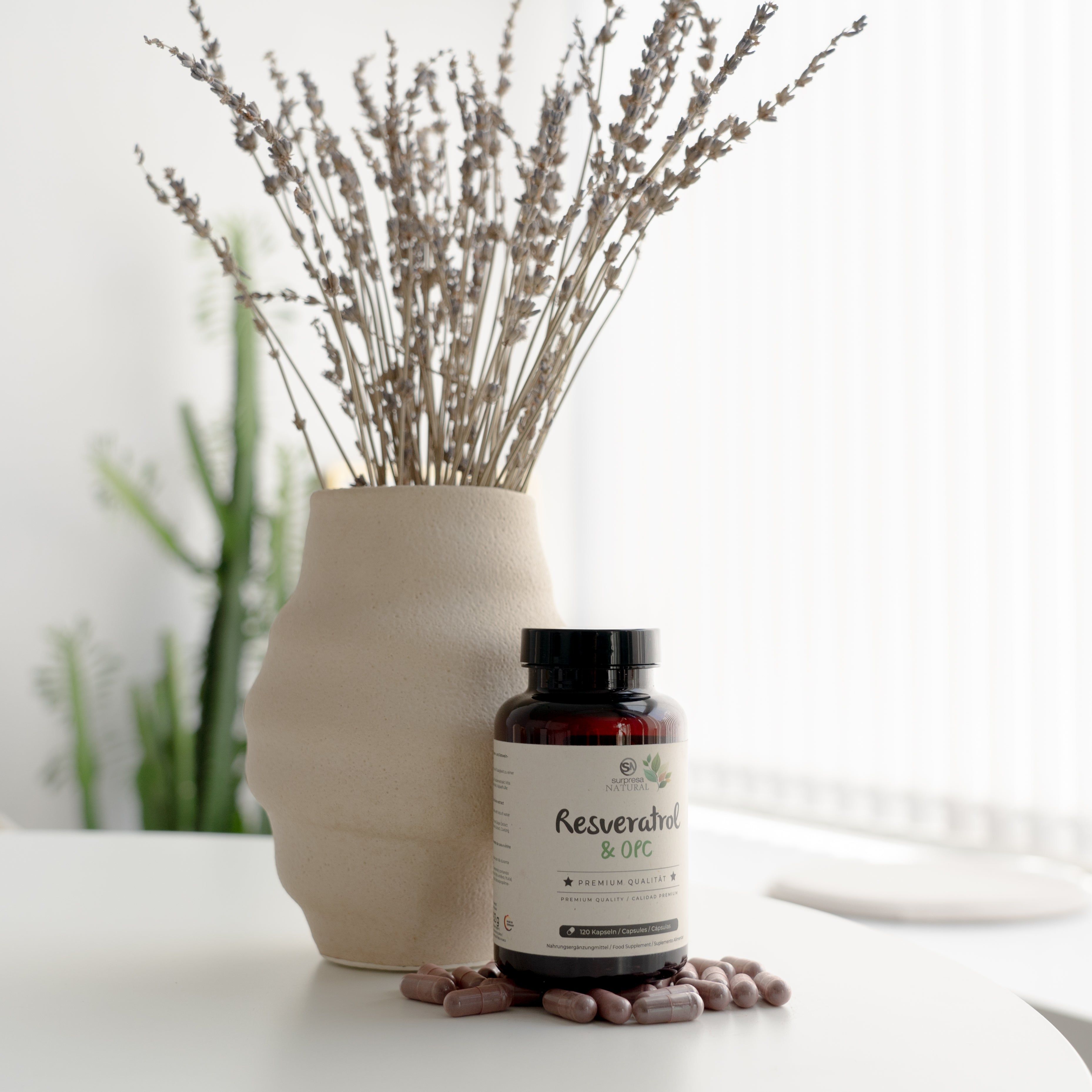 Flasche Surpresa Natural Resveratrol & OPC Kapseln neben einer Vase mit getrockneten Pflanzen.