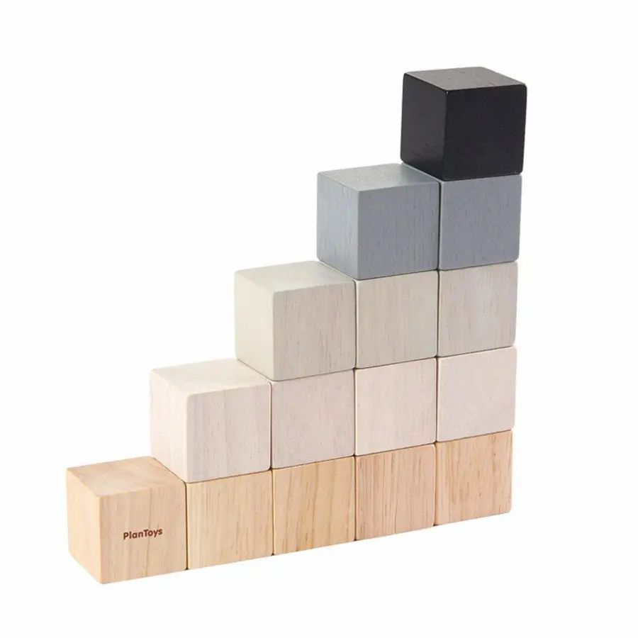 Plan Toys Cubi in legno