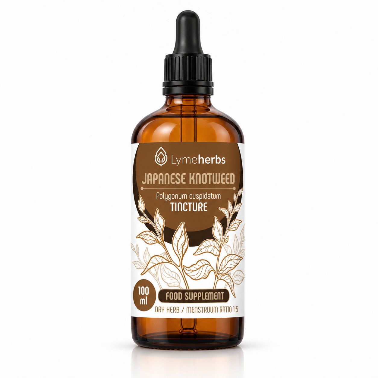 Braune Glasflasche mit Pipette, Etikett mit 'Japanese Knotweed Tincture', 100 ml.