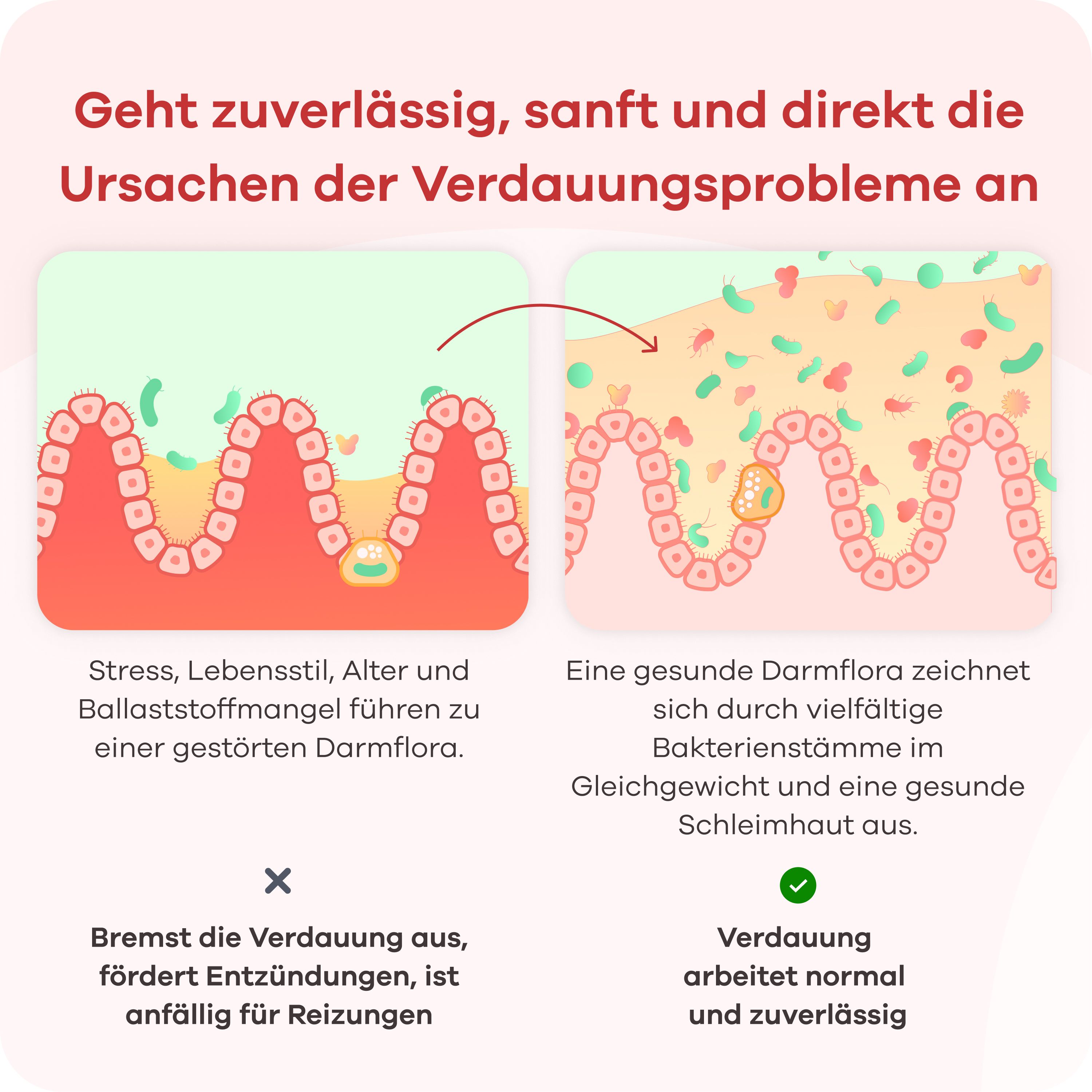 Apriwell Darmkulturen-Komplex