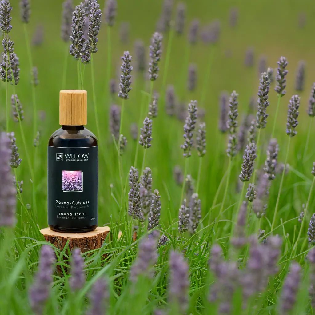 Wellow Sauna-Aufguss Lavendel-Bergamotte