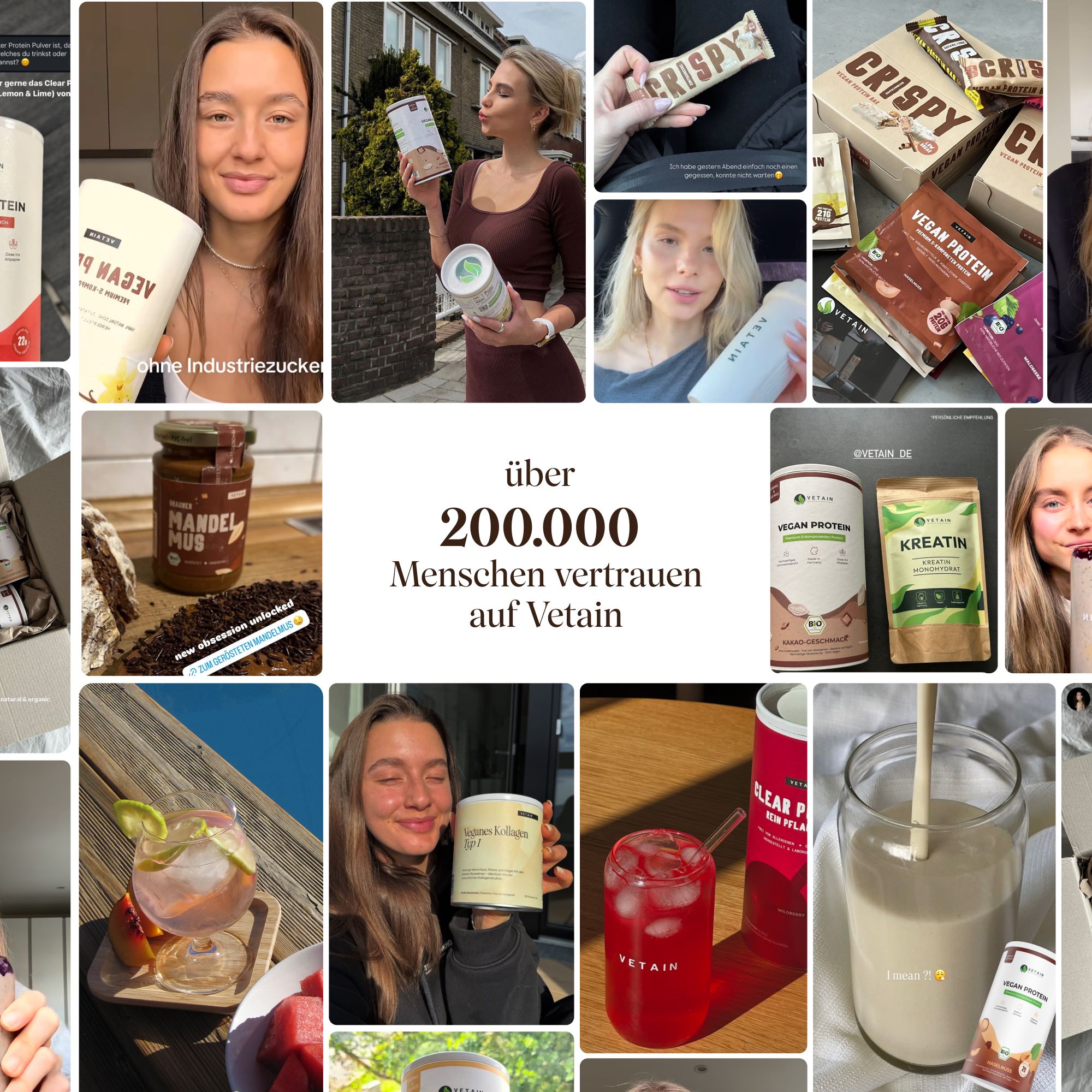 VETAIN Proteinpulver Vegan - Haselnuss - 20g Eiweiß pro Portion - Ohne Zuckerzusatz - 100% Bio