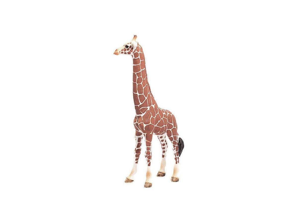 Schleich Safari - Giraffenkuh