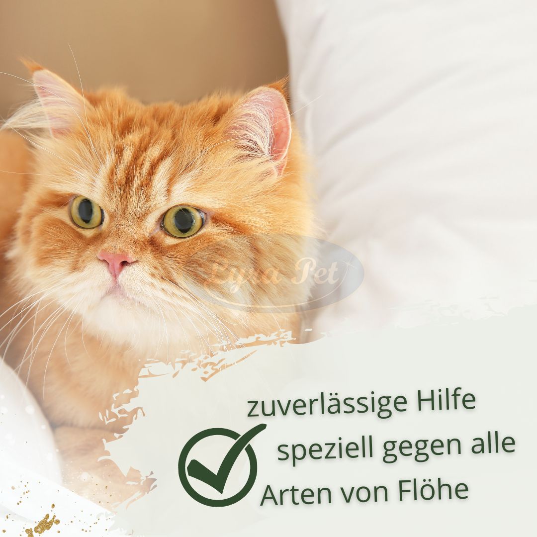 Katze liegt auf Kissen. Text: Zuverlässige Hilfe speziell gegen alle Arten von Flöhen.