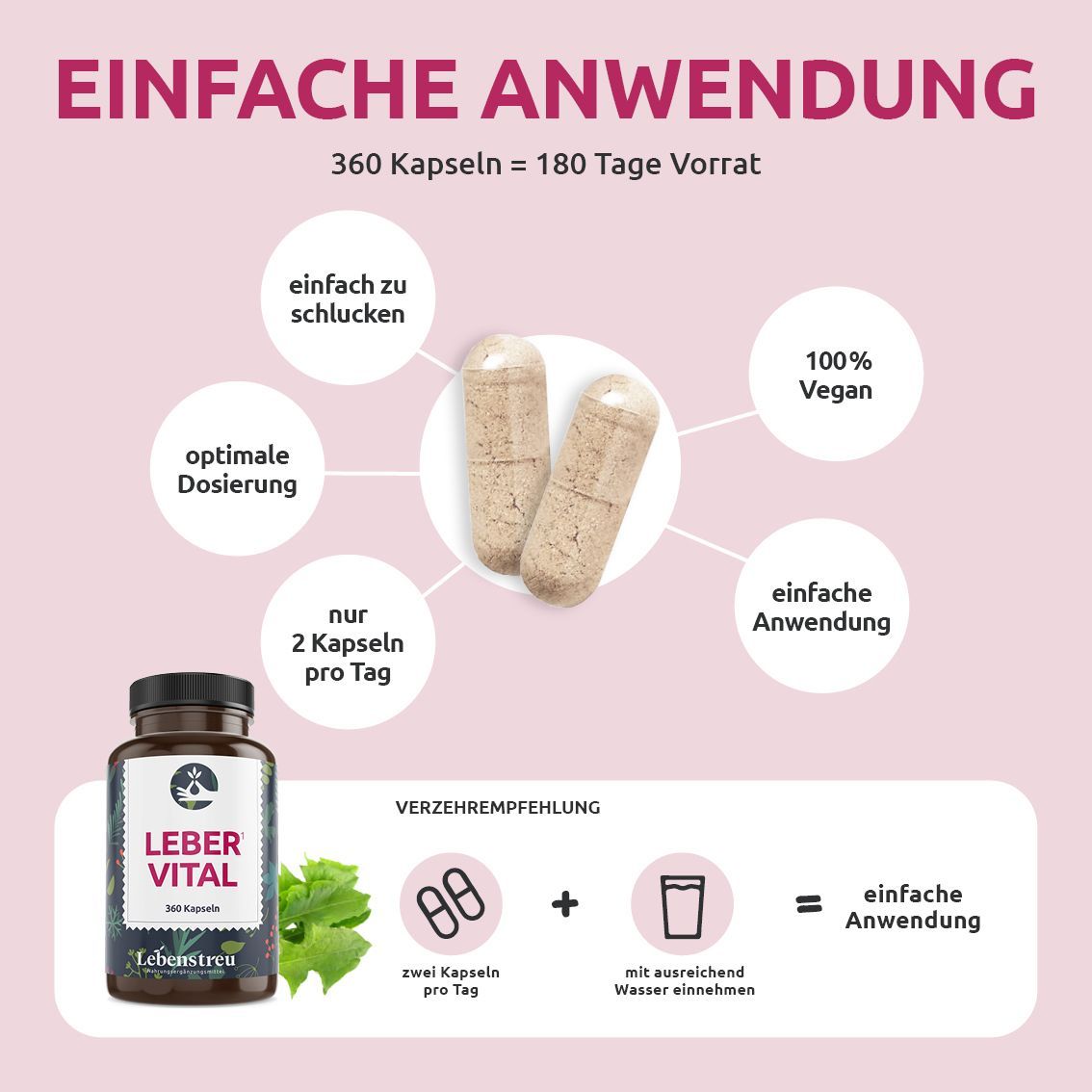 Lebenstreu Leber Komplex (360 Kapseln) mit Mariendistel, Artischocke, Löwenzahn und Cholin