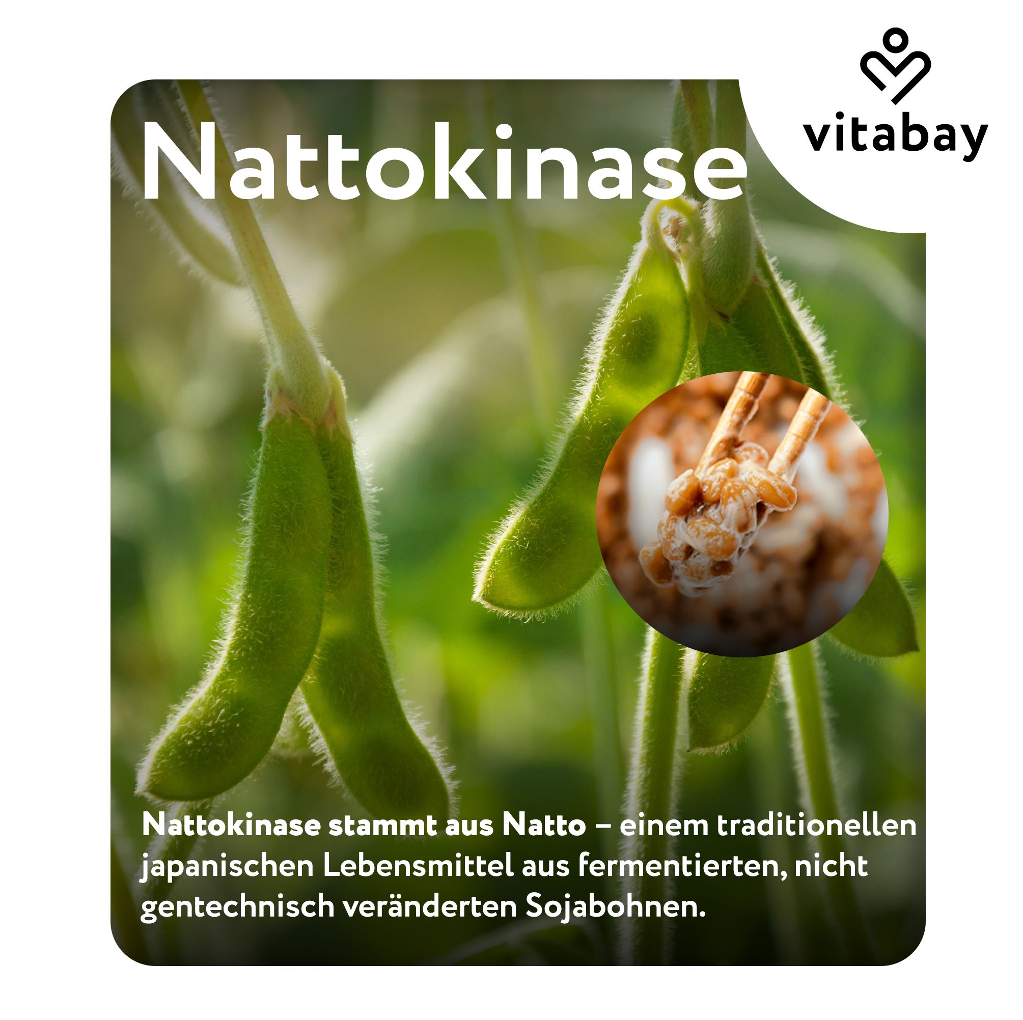 Nahaufnahme von grünen Sojabohnenschoten, daneben ein Kreis mit Natto.