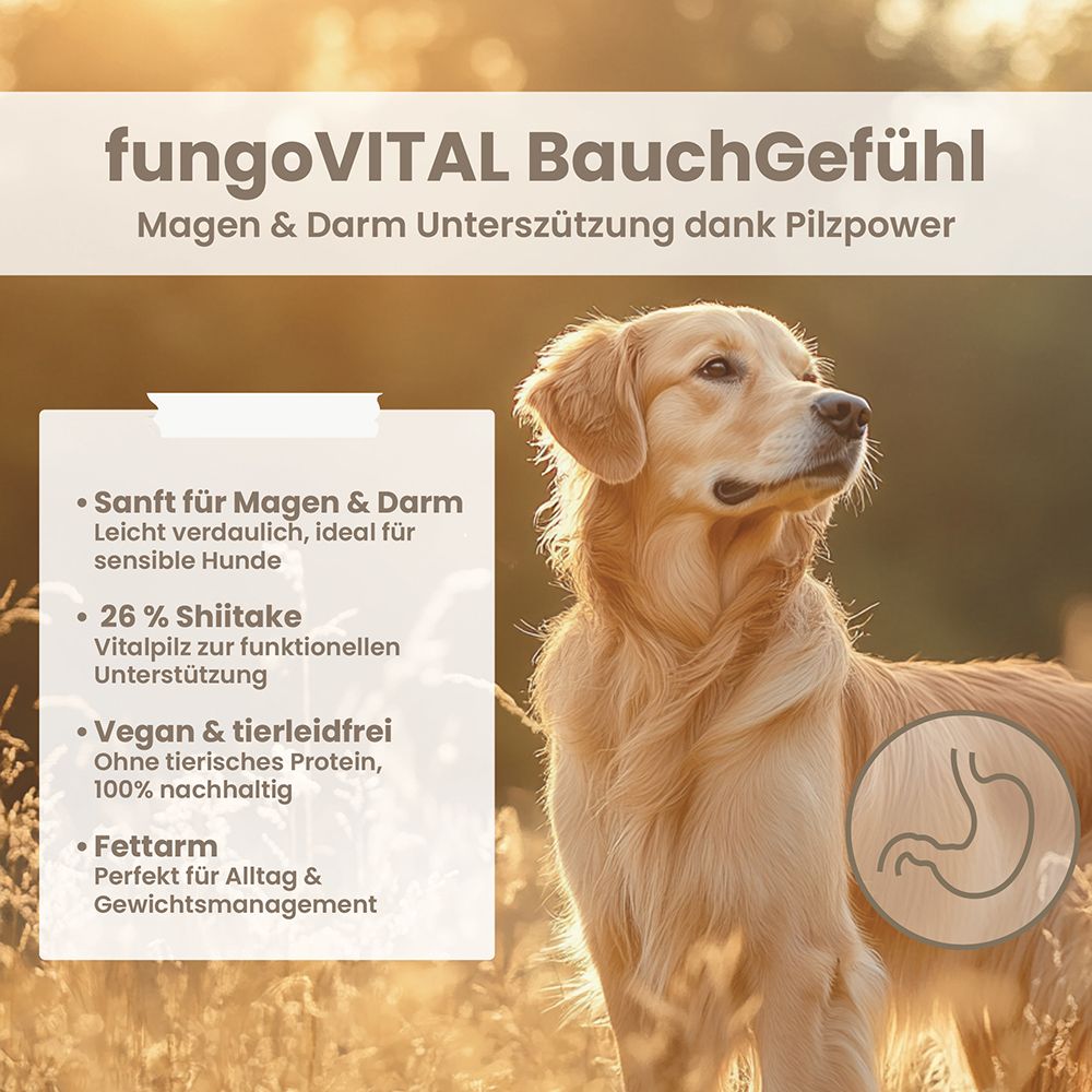 Produktabbildung mit Hund. Text: fungoVITAL BauchGefühl, Magen & Darm Unterstützung. Eigenschaften: sanft, leicht verdaulich, 26% Shiitake, vegan, fettarm.