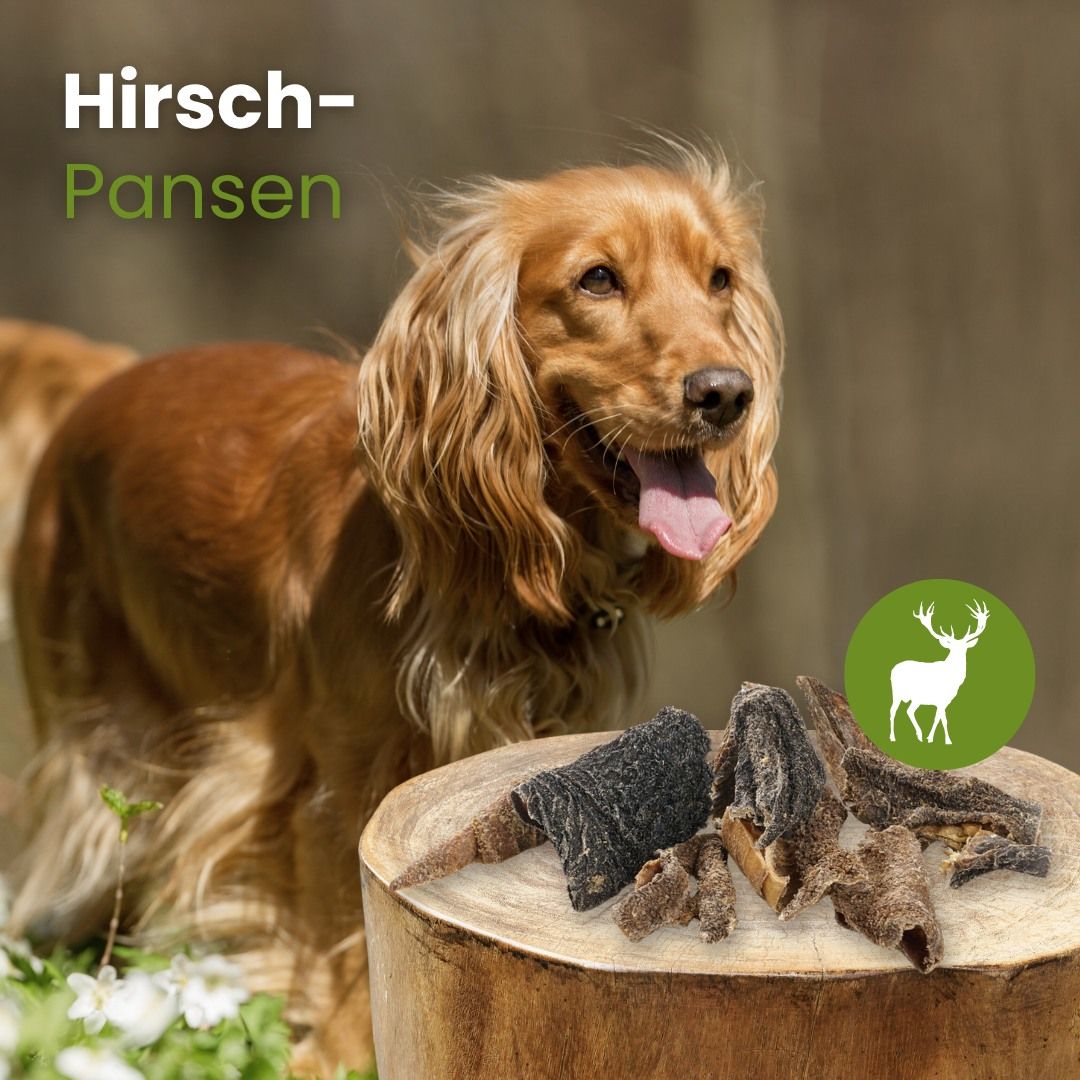 Getrocknete Rinderpansenstücke auf einem Holzstamm mit einem Hund.