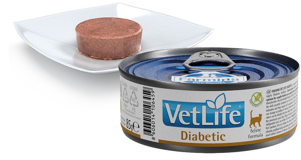 Geöffnete Dose "Vet Life Diabetic" neben Teller mit Futter. Dose mit blauem Deckel, silbernem Rand. 85g.