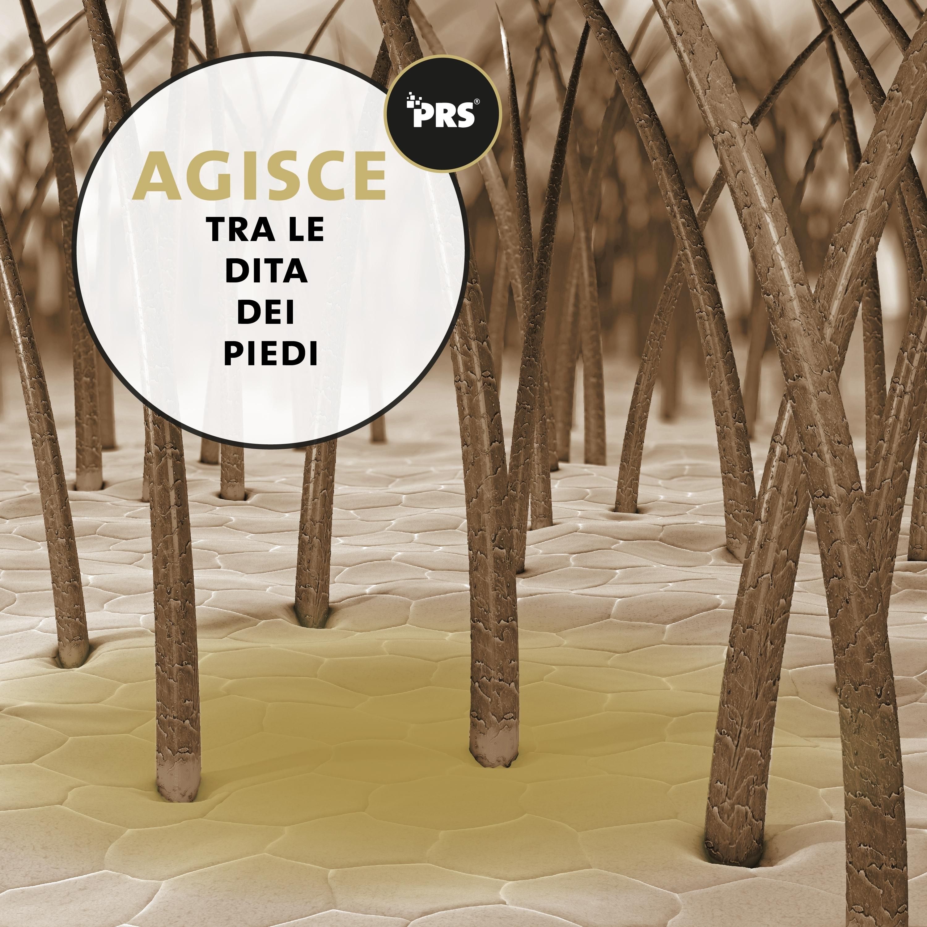 Nahaufnahme von Hundezehen. Text: Wirkt auch zwischen den Zehen. PRS-Logo.