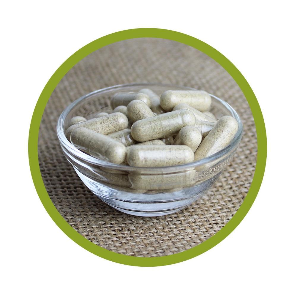 vitalundfitmit100® Bio Bockshornklee Extrakt Kapseln