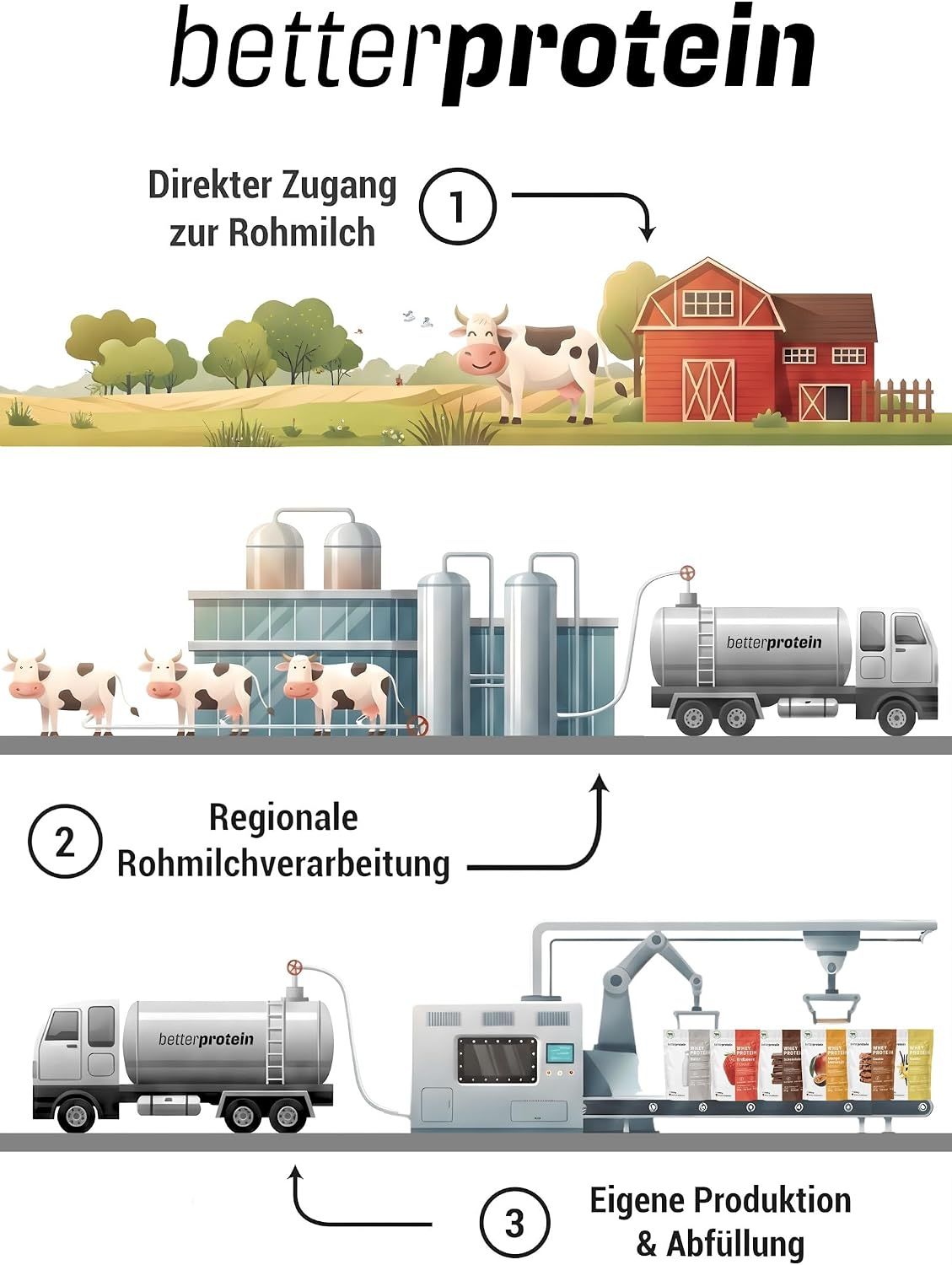 Schema der BetterProtein-Produktion: Rohmilchgewinnung, Verarbeitung und Abfüllung.
