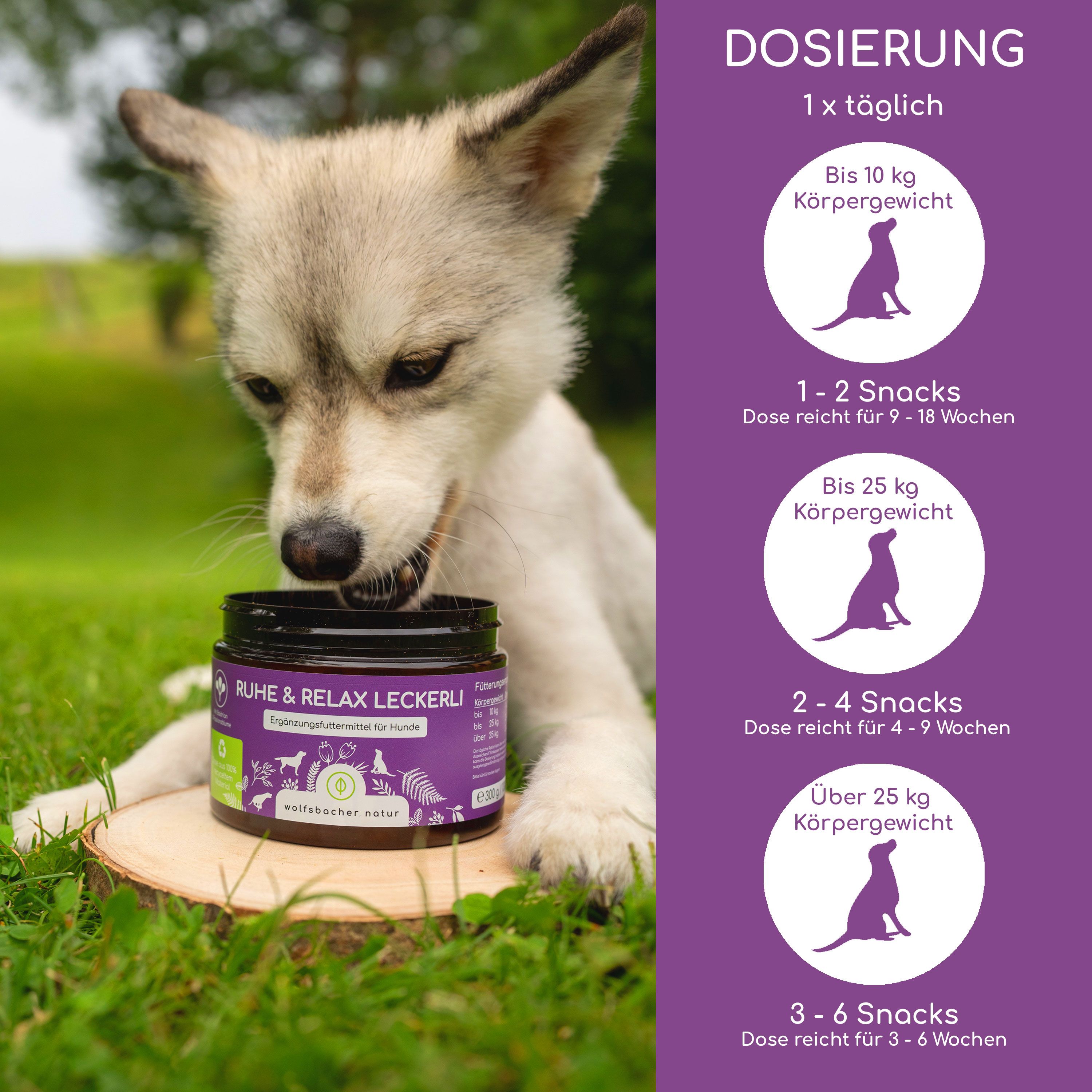 Hund frisst Leckerli aus Dose. Dosierungsangaben: 1-2 Snacks für 9-18 Wochen. Aufschrift: Ruhe & Relax Leckerli. Marke: Wolfsbacher Natur.