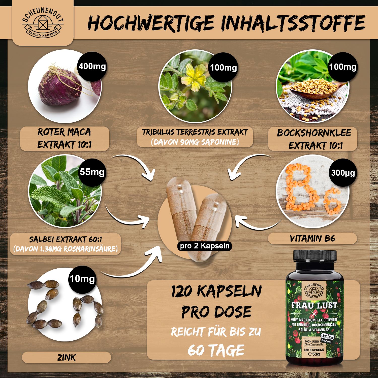 Infografik mit Inhaltsstoffen von "FRAU LUST". Roter Maca, Tribulus, Bockshornklee, Salbei, Zink und Vitamin B6. 120 Kapseln pro Dosis.