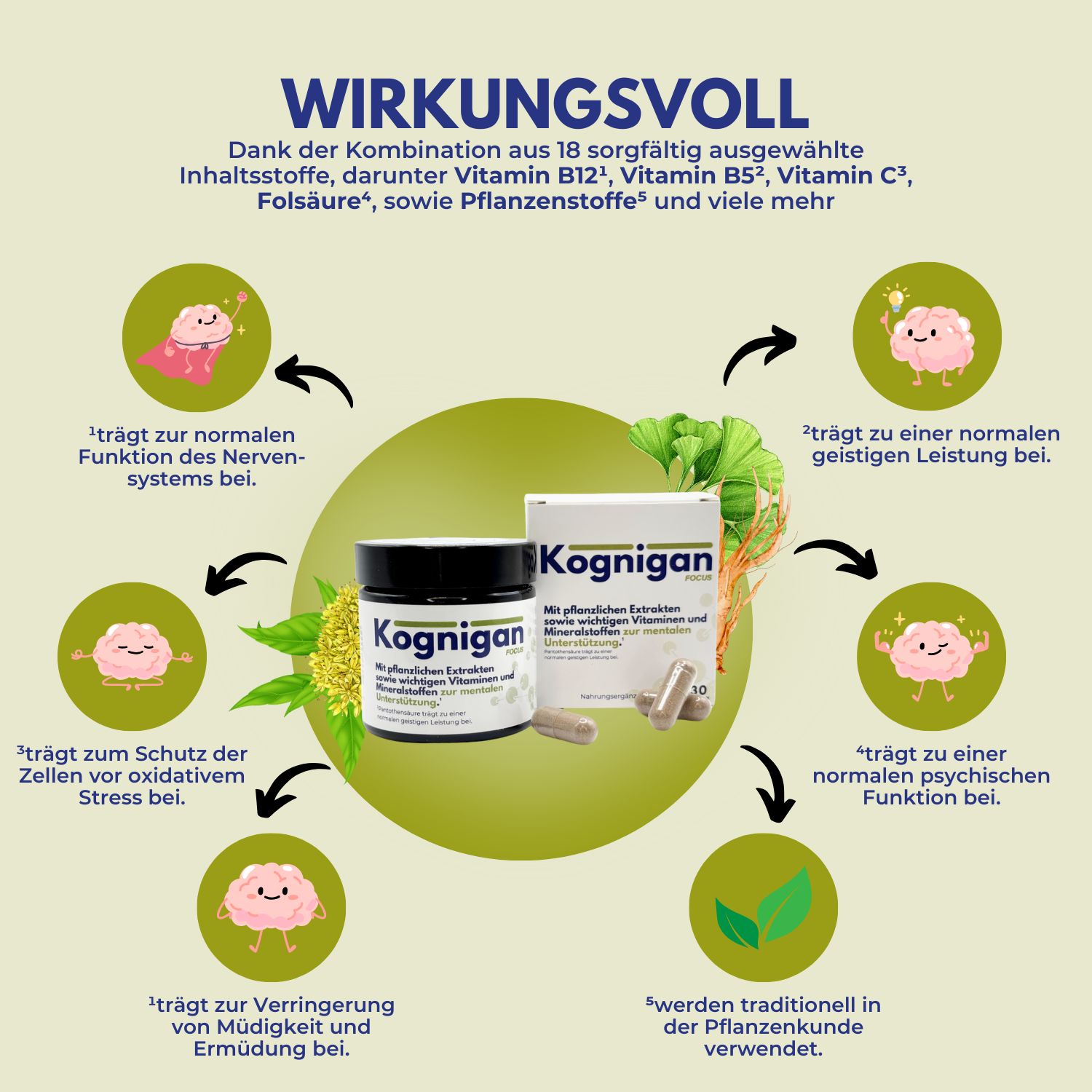Kognigan Fokus - für Gehirn, Konzentration und Gedächtnis - mit Pflanzenextrakten & Vitaminen