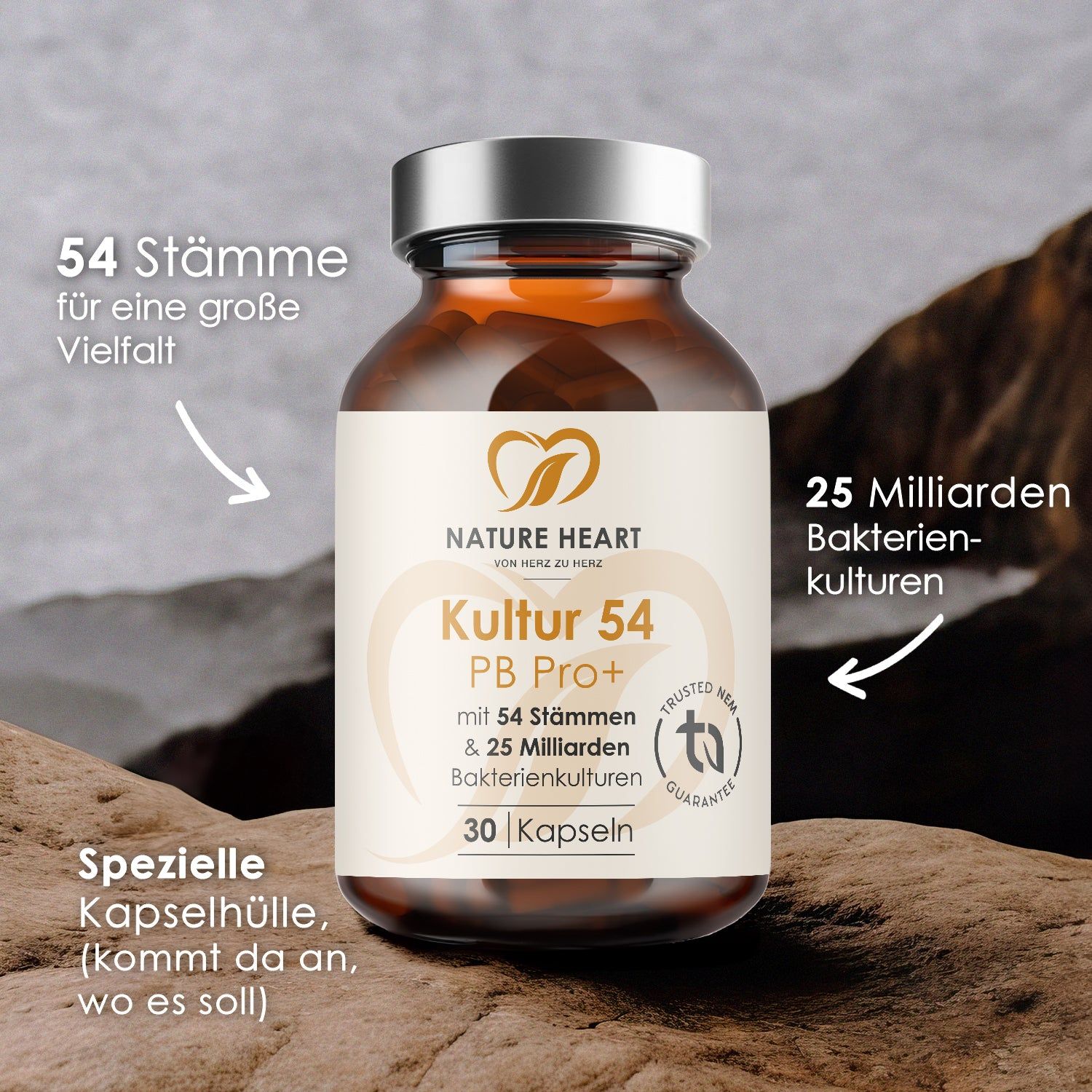 Braune Glasflasche mit Kapseln. Aufschrift: Kultur 54 PB Pro+, 30 Kapseln, 54 Stämme & 25 Milliarden Bakterienkulturen. Pfeile zeigen auf Details.