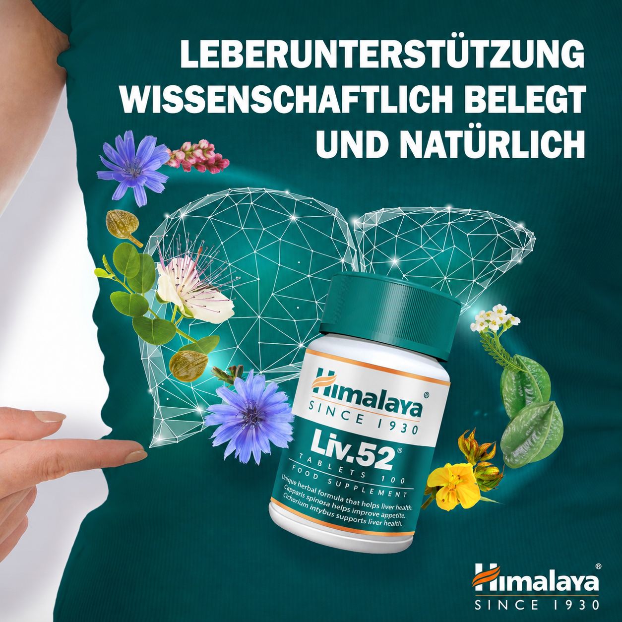 Himalaya Liv.52 Tabletten: Flasche vor einer stilisierten Leber mit Kräutern.