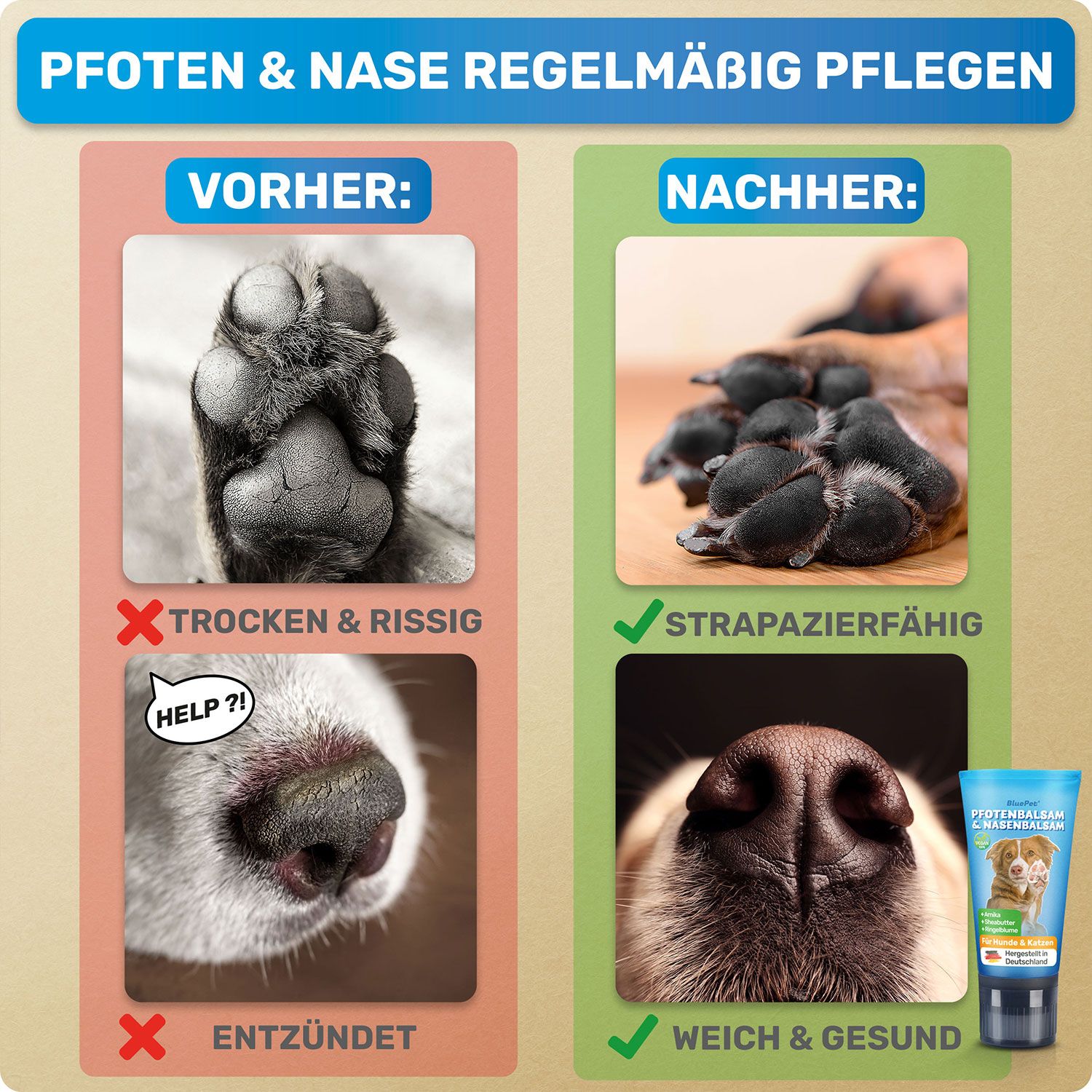 Vergleich von Pfoten und Nase: Vorher: trocken & rissig, entzündet. Nachher: strapazierfähig, weich & gesund. Produktabbildung.
