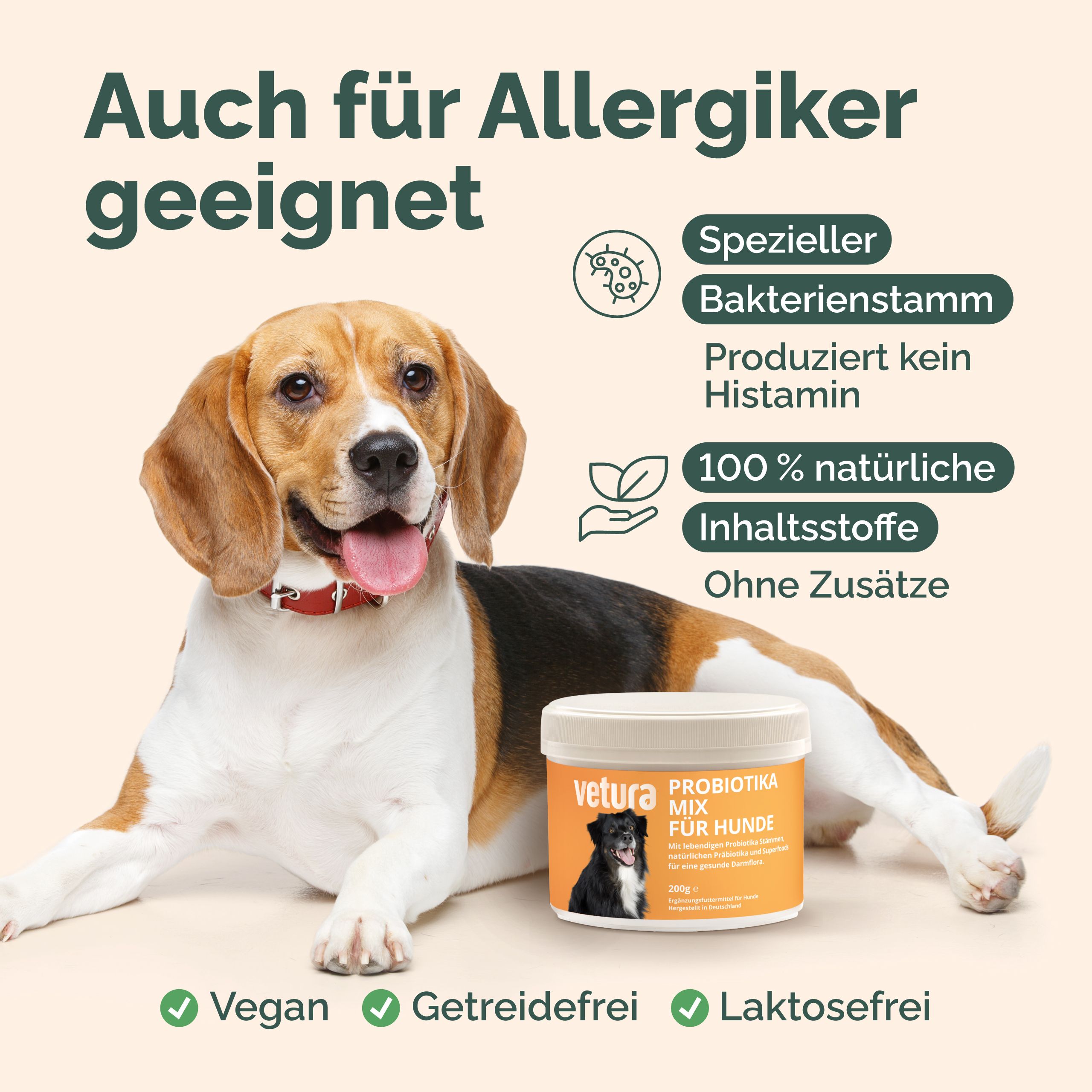 Beagle mit Produkt. Text: Auch für Allergiker geeignet. Spezieller Bakterienstamm, 100% natürliche Inhaltsstoffe. Vetura Probiotika Mix für Hunde, vegan, getreidefrei, laktosefrei.