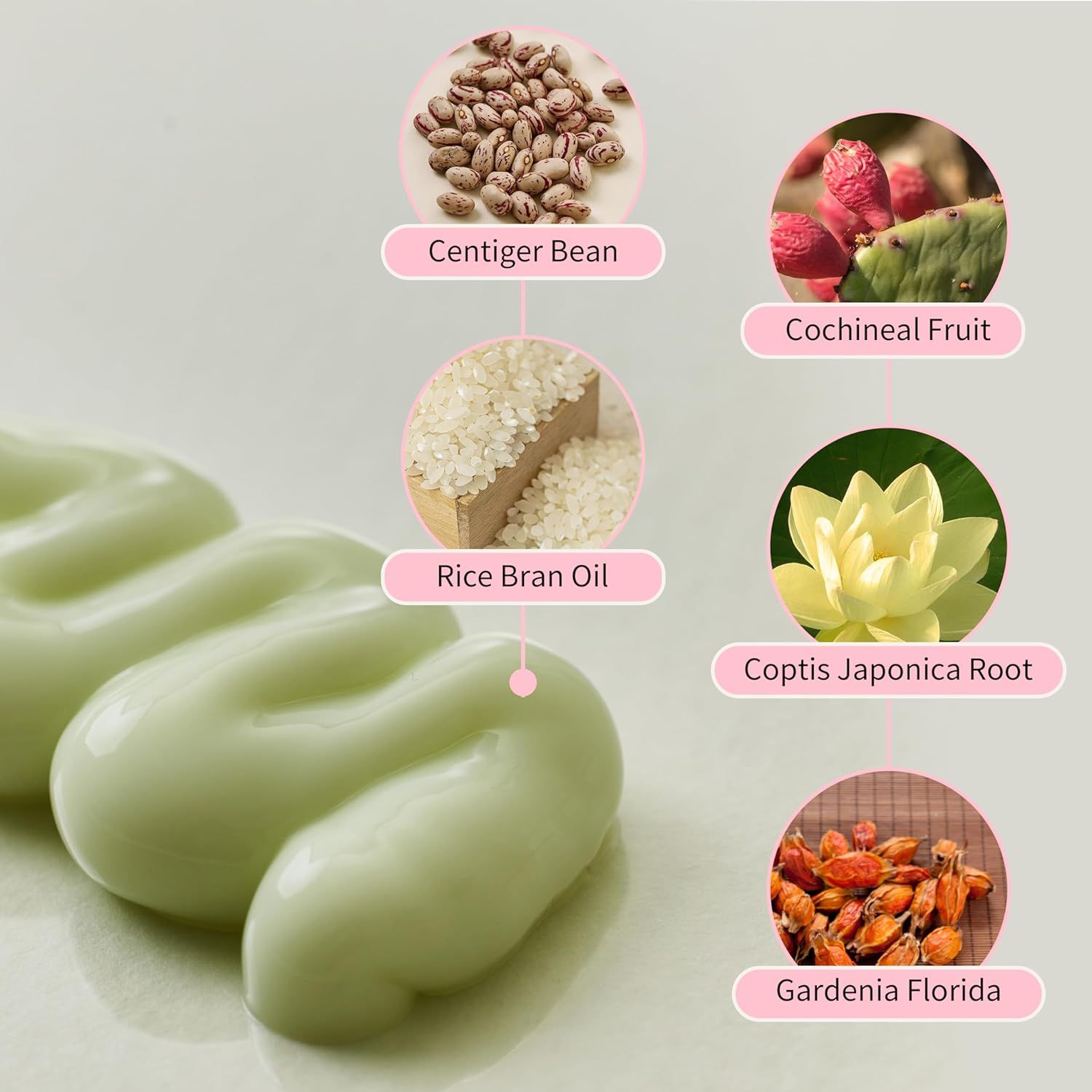 Beauty of Joseon Jelloskin Massage Cream for face & body 200ml