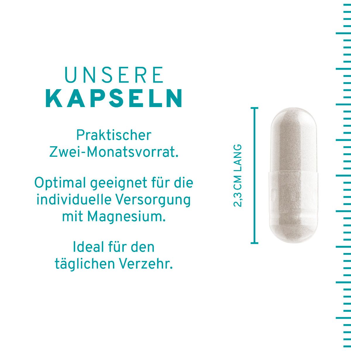 Kapsel, 2,3 cm lang. Text: Praktischer Zwei-Monatsvorrat. Optimal für individuelle Versorgung mit Magnesium. Ideal für den täglichen Verzehr.