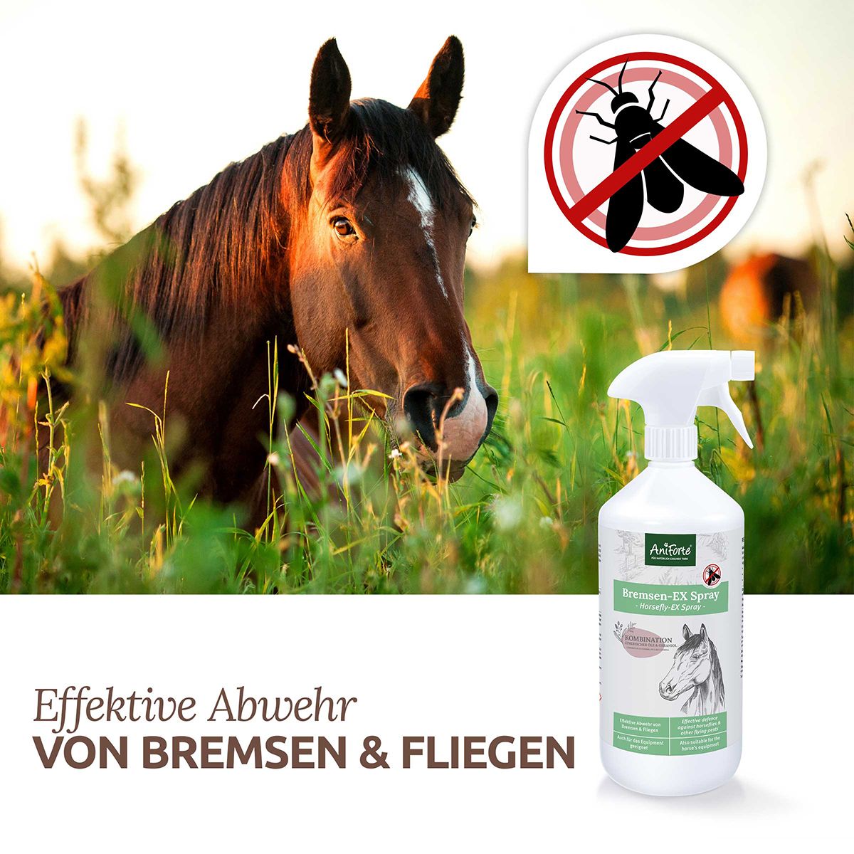 AniForte Bremsen-EX Fliegenspray