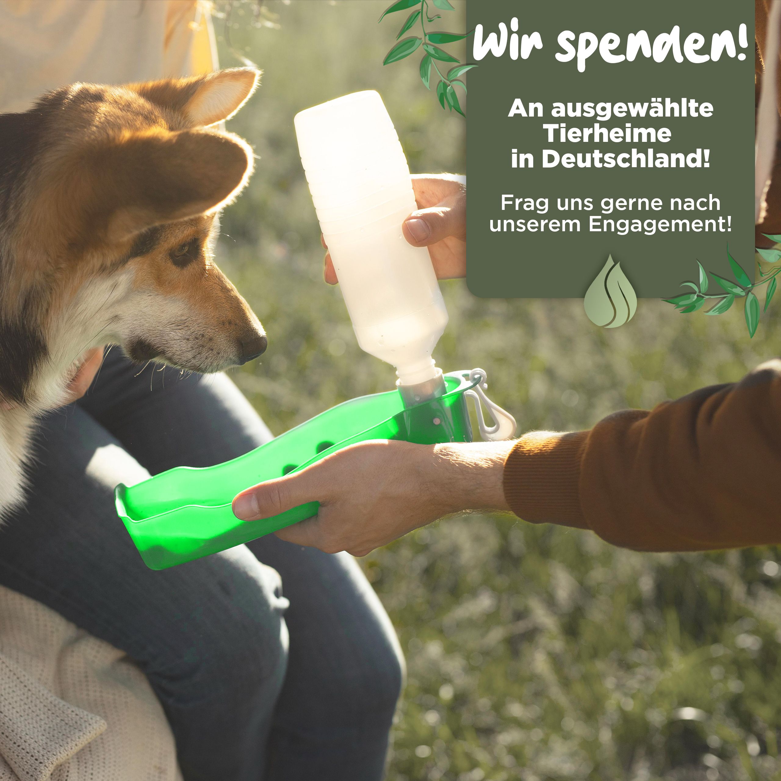 Person gießt Wasser in eine grüne Trinkflasche für einen Hund. Text: Wir spenden an Tierheime.