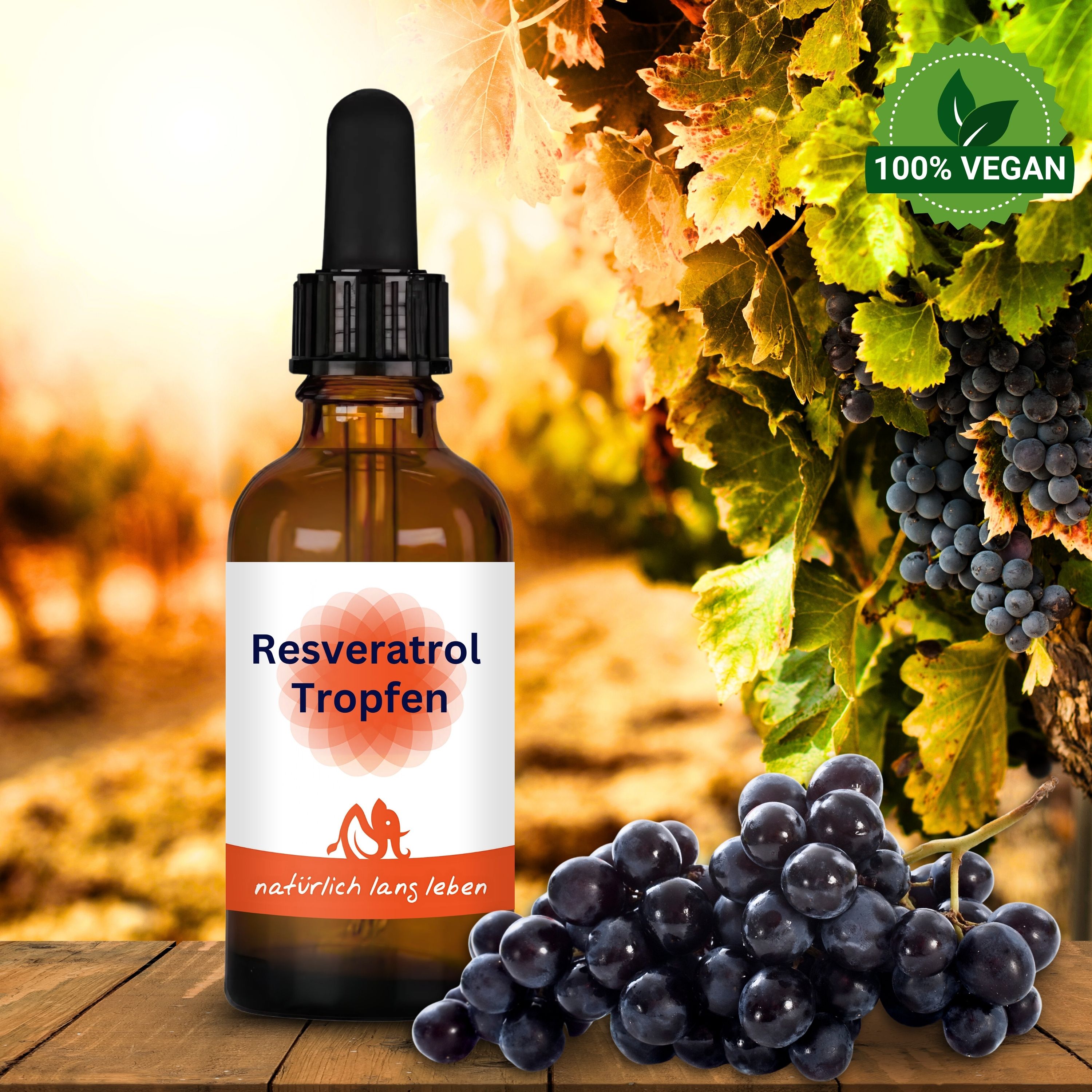 Braune Glasflasche mit Tropfer neben Trauben. Etikett mit "Resveratrol Tropfen" und Logo. 100% Vegan-Siegel.