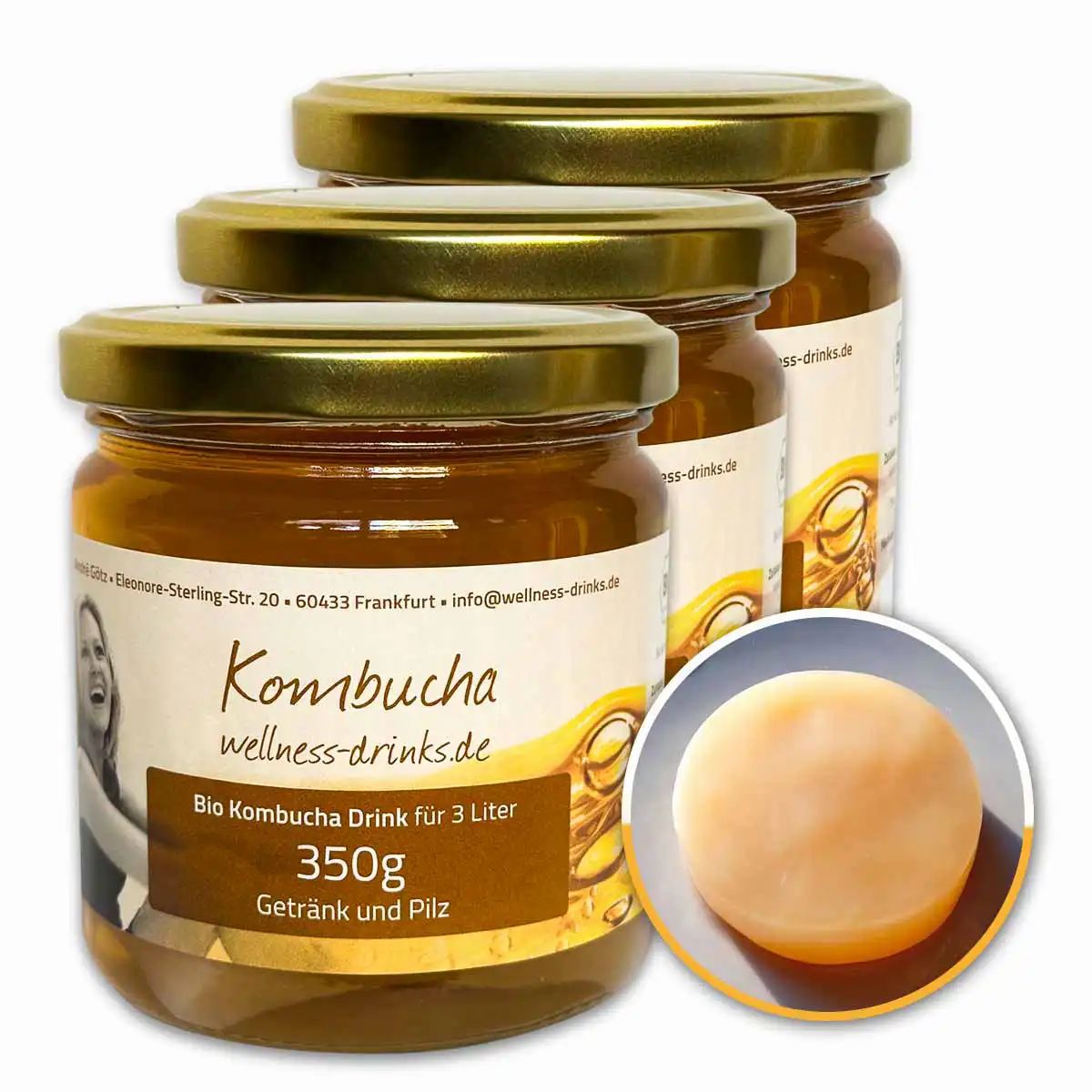 WELLNESS-DRINKS Bio-Kombucha mit lebendem Kombucha-Pilz (SCOBY)