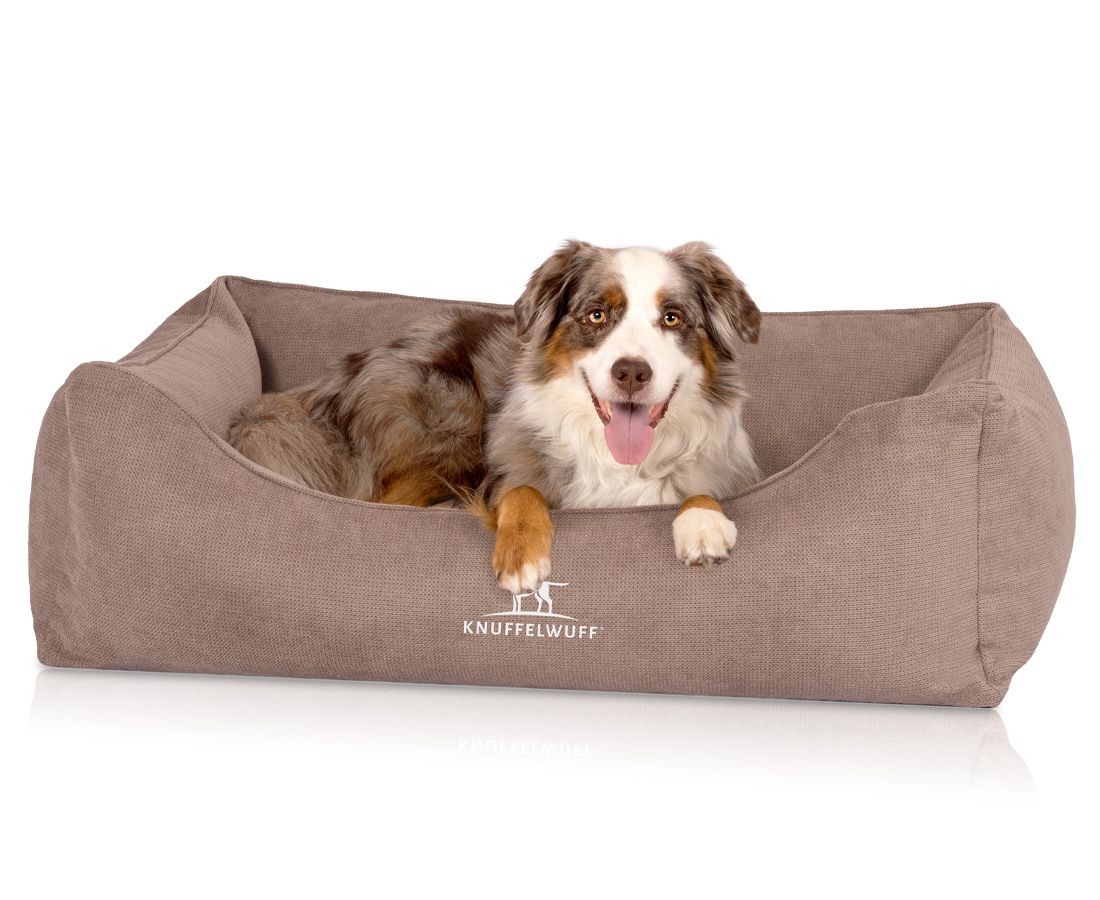 Hund liegt in einem braunen orthopädischen Hundebett. Knuffelwuff Logo. Das Bett hat erhöhte Seiten.