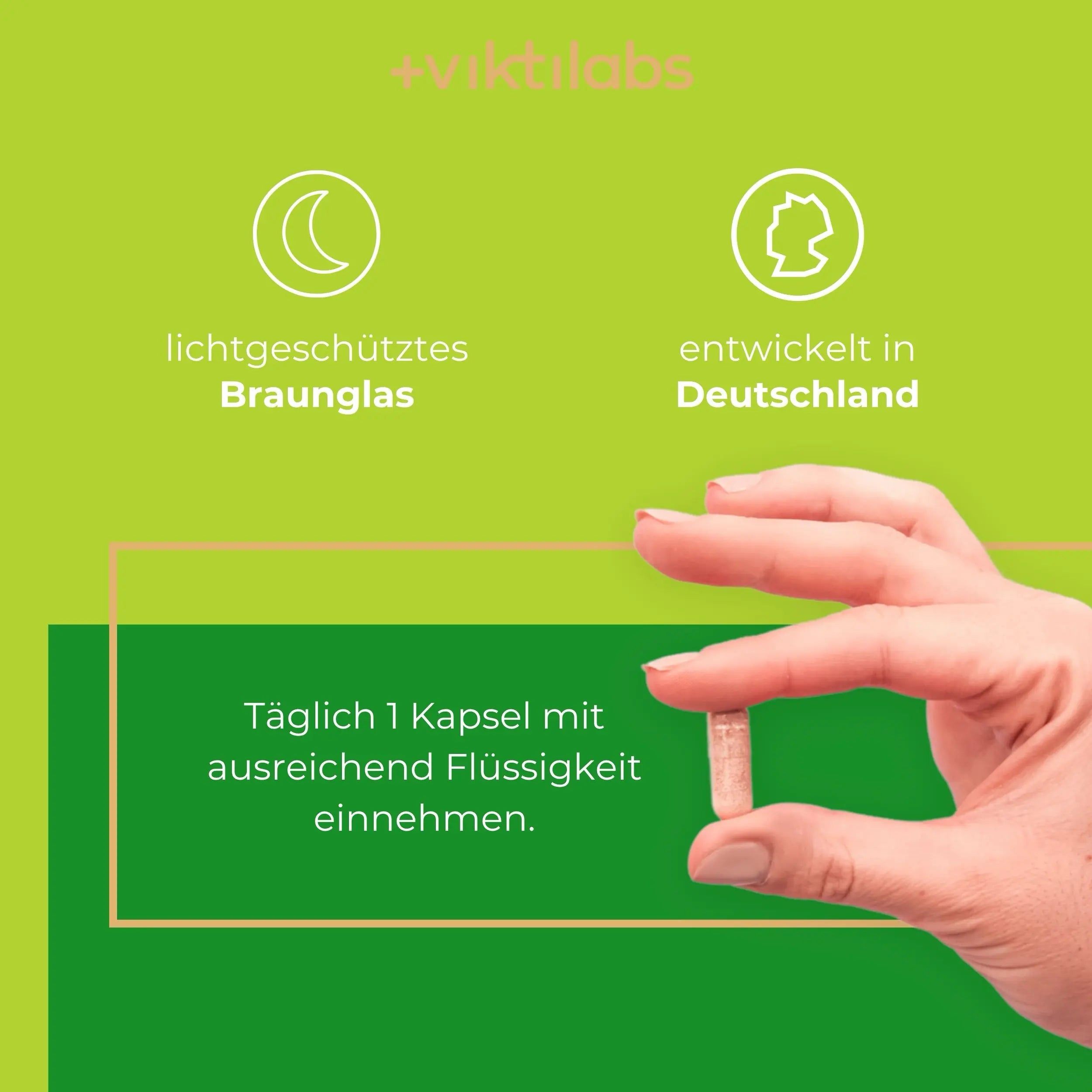 Viktilabs Bio Ashwagandha: Hochwertiger Wurzelextrakt mit Withanoliden (KSM-66®)
