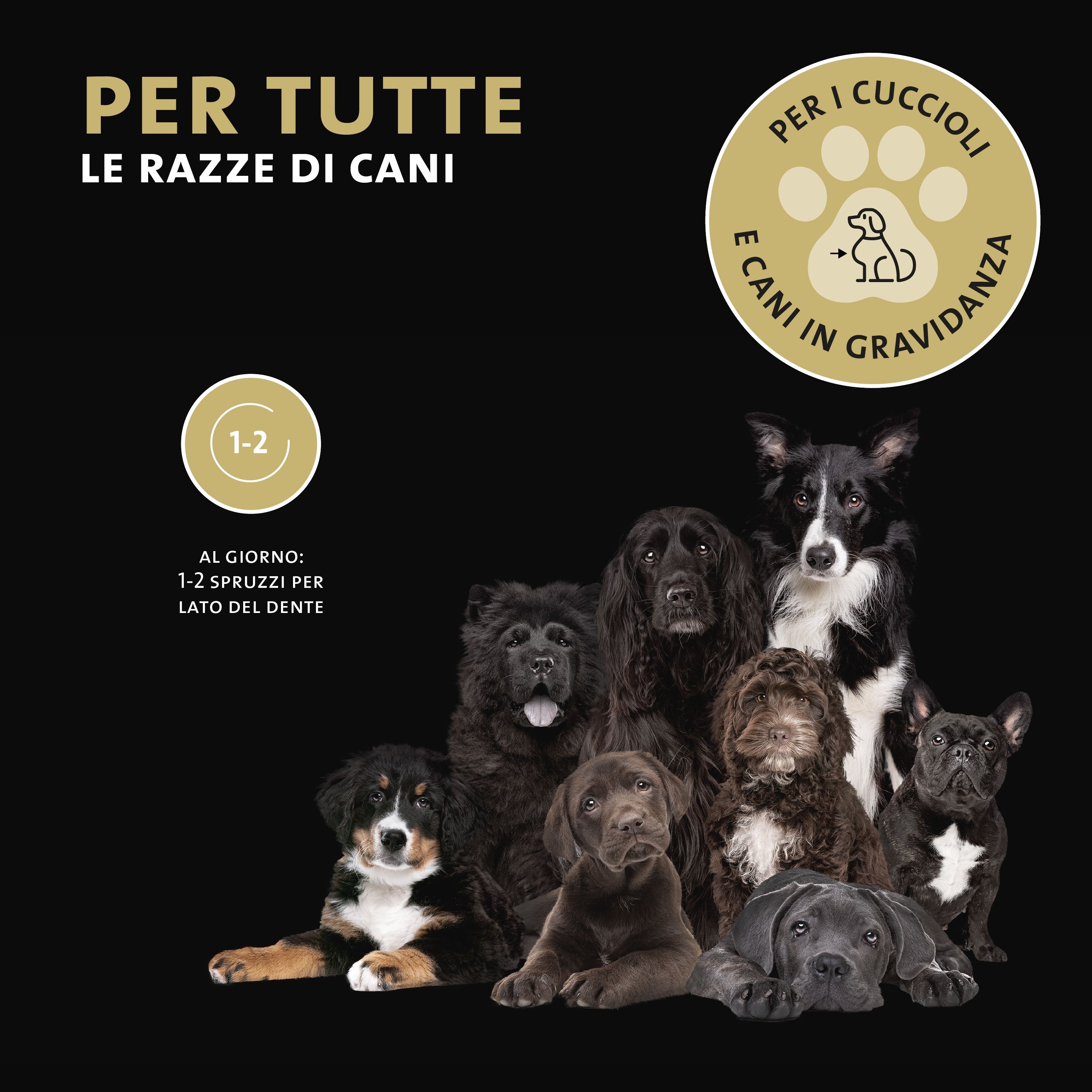Verschiedene Hunde vor schwarzem Hintergrund. Text: PER TUTTE LE RAZZE DI CANI. Mit Symbolen für Welpen und trächtige Hündinnen. Text: 1-2 Spritzer.