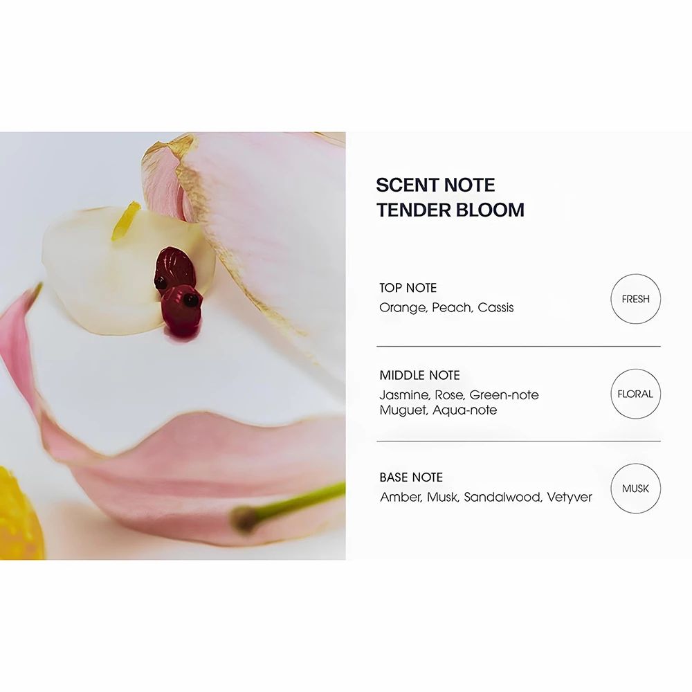 UNOVE Deep Damage Treatment EX – Intensivkur für stark geschädigtes Haar