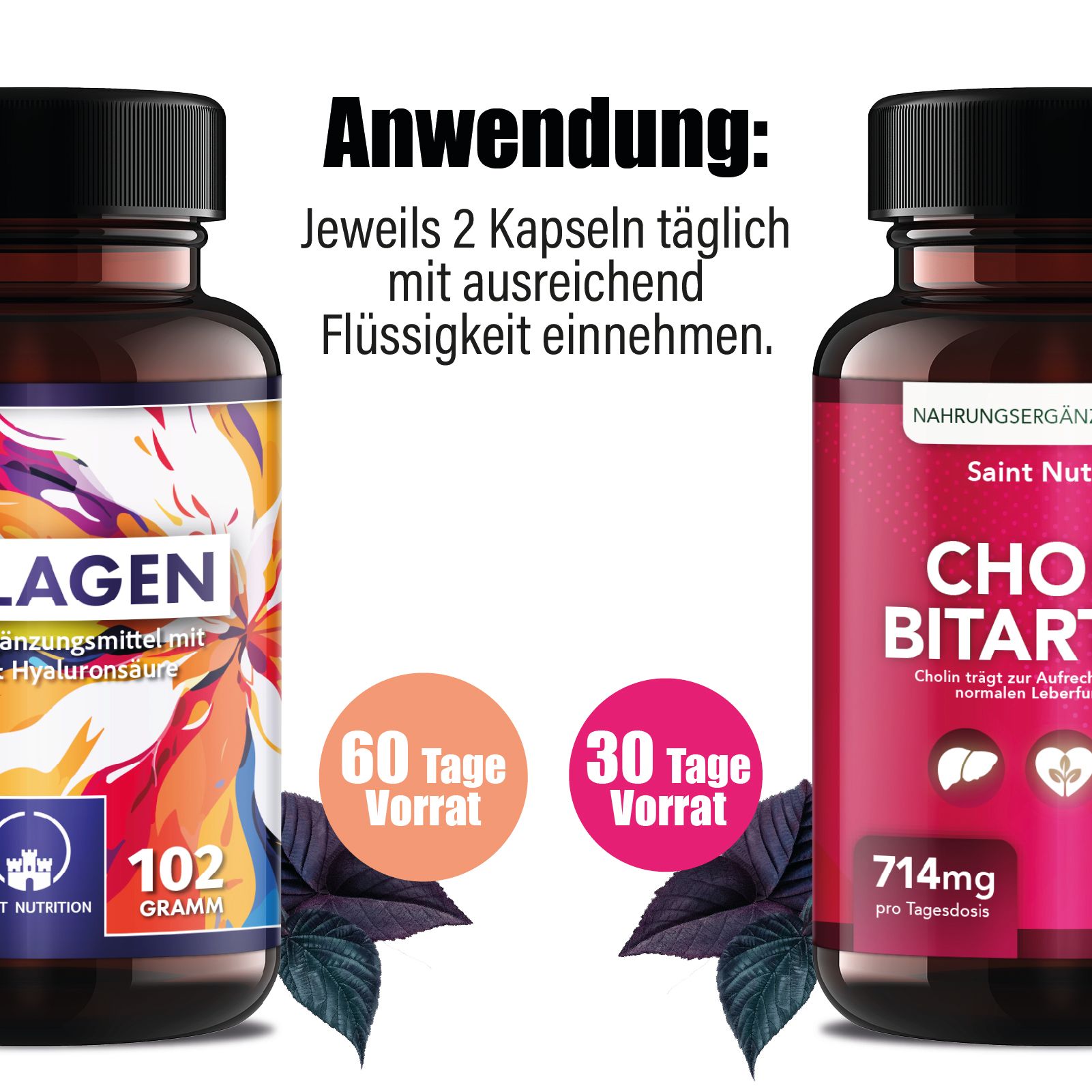 Zwei Flaschen Nahrungsergänzungsmittel. Links: Kollagen, 120 Kapseln. Rechts: Cholin Bitartrat, 60 Kapseln. Beide mit schwarzen Deckeln. Text: Anwendung.