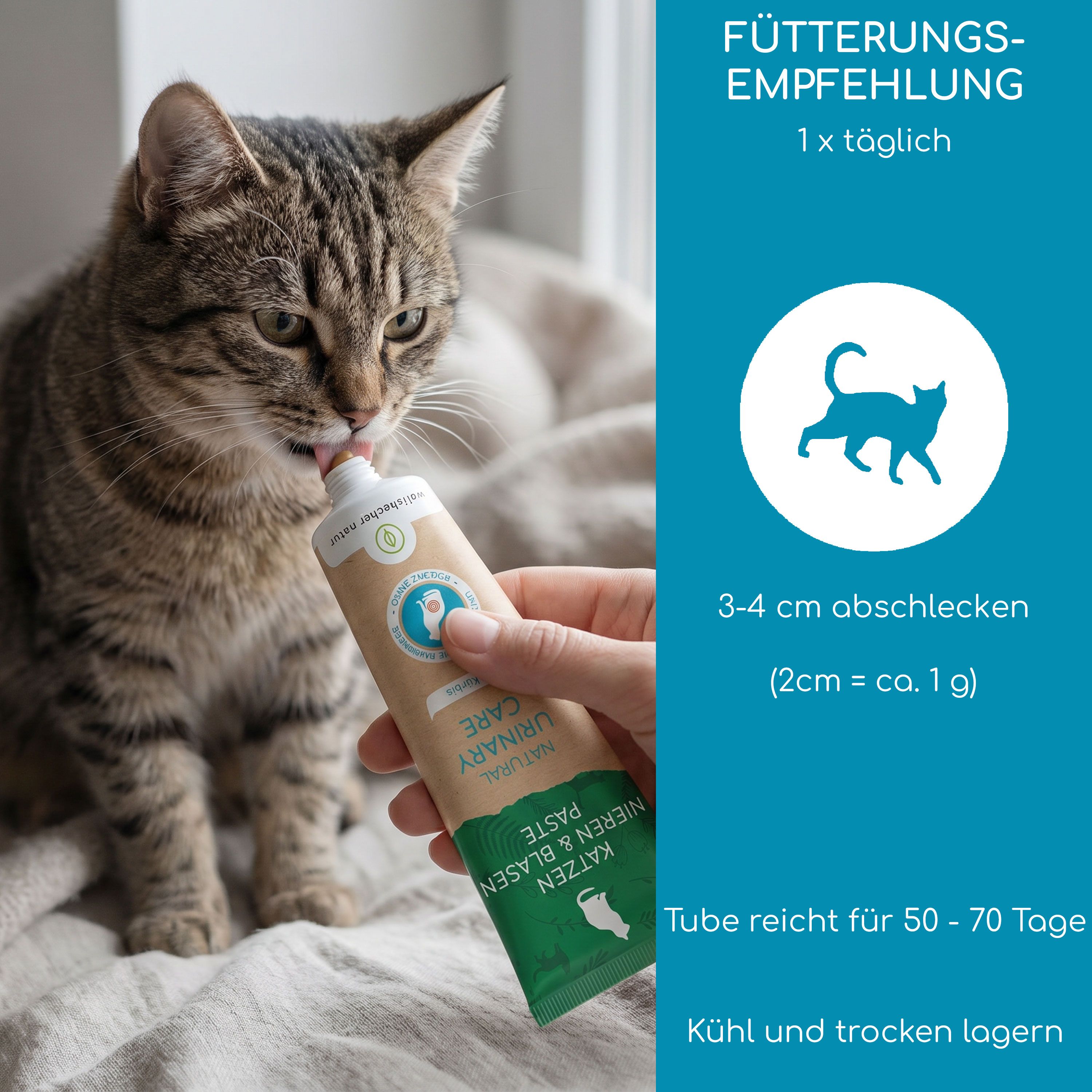Katze leckt Paste aus Tube. Fütterungsempfehlung: 1x täglich 3-4 cm.