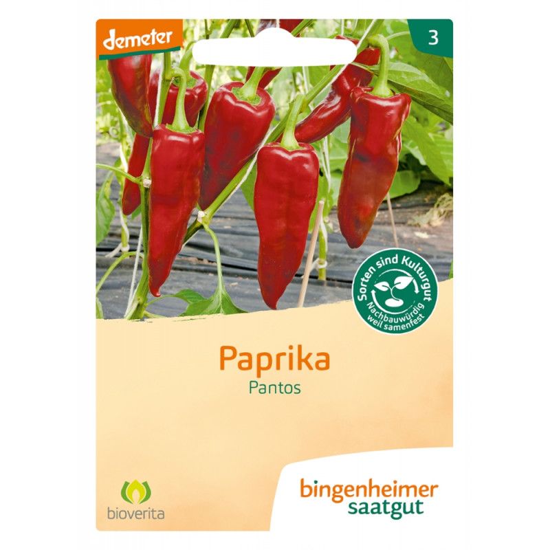 Bingenheimer Saatgut - Paprika Pantos