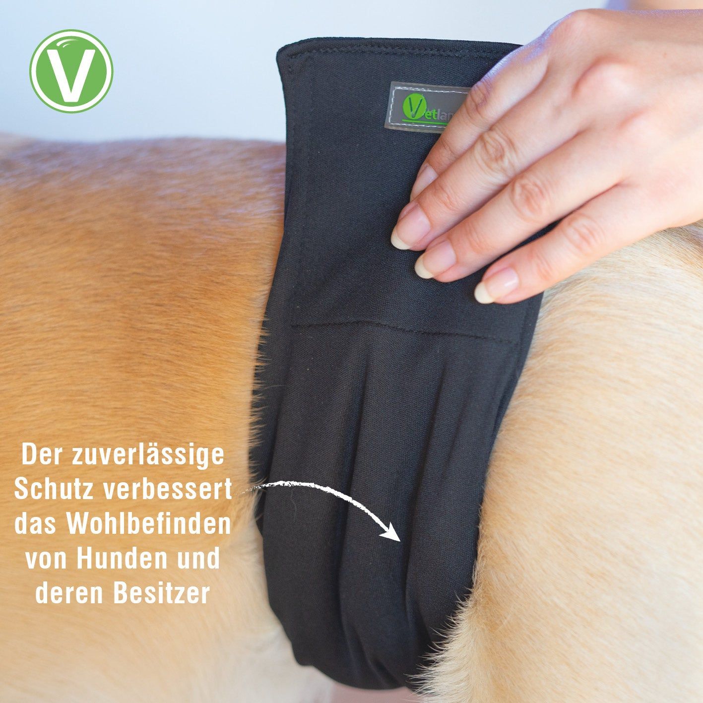 Schwarze Rüdenwindel wird an einem Hund angebracht. Text: "Der zuverlässige Schutz verbessert das Wohlbefinden".