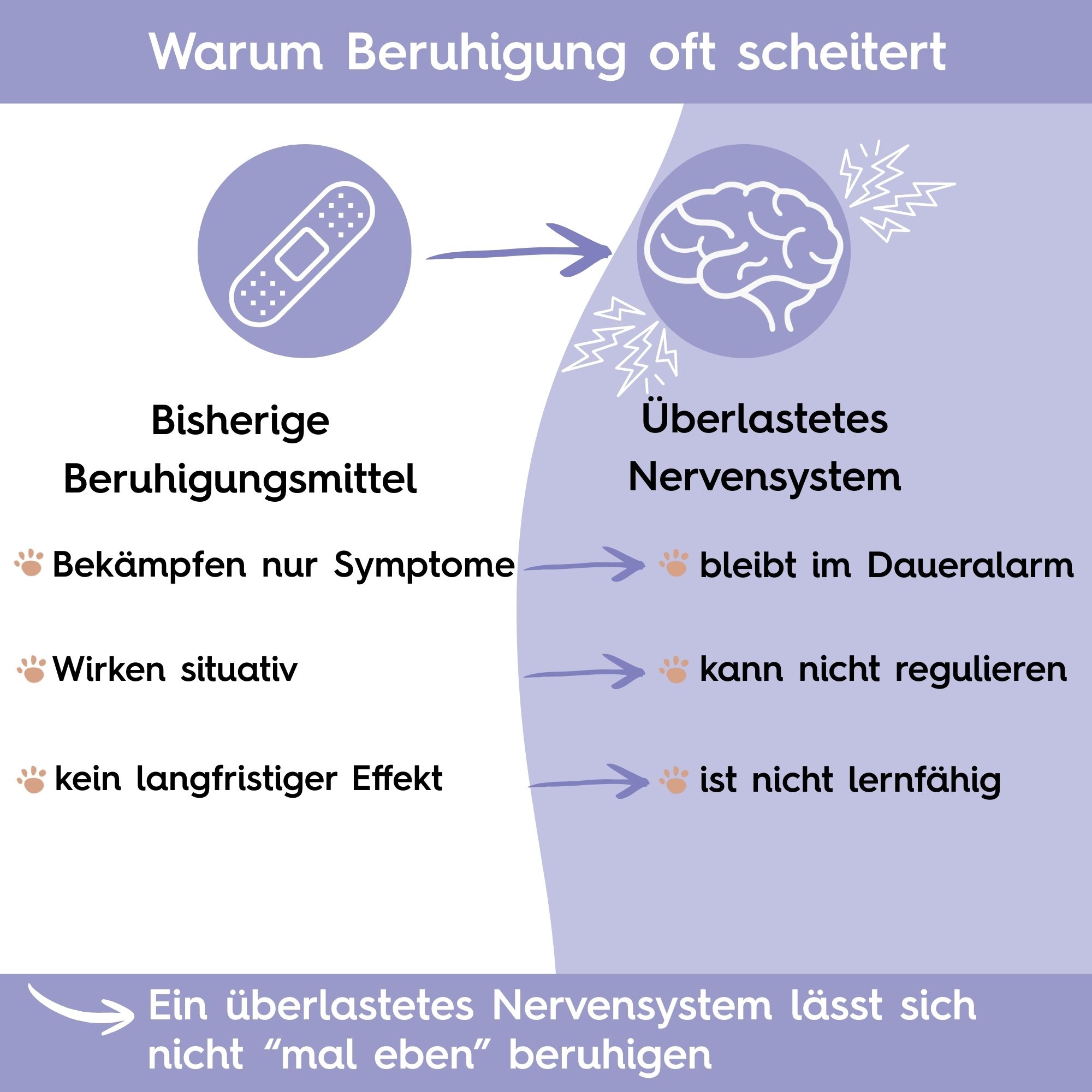 Infografik: Vergleich von bisherigen Beruhigungsmitteln und überlastetem Nervensystem. Pfeile zeigen Ursache-Wirkung-Beziehungen.