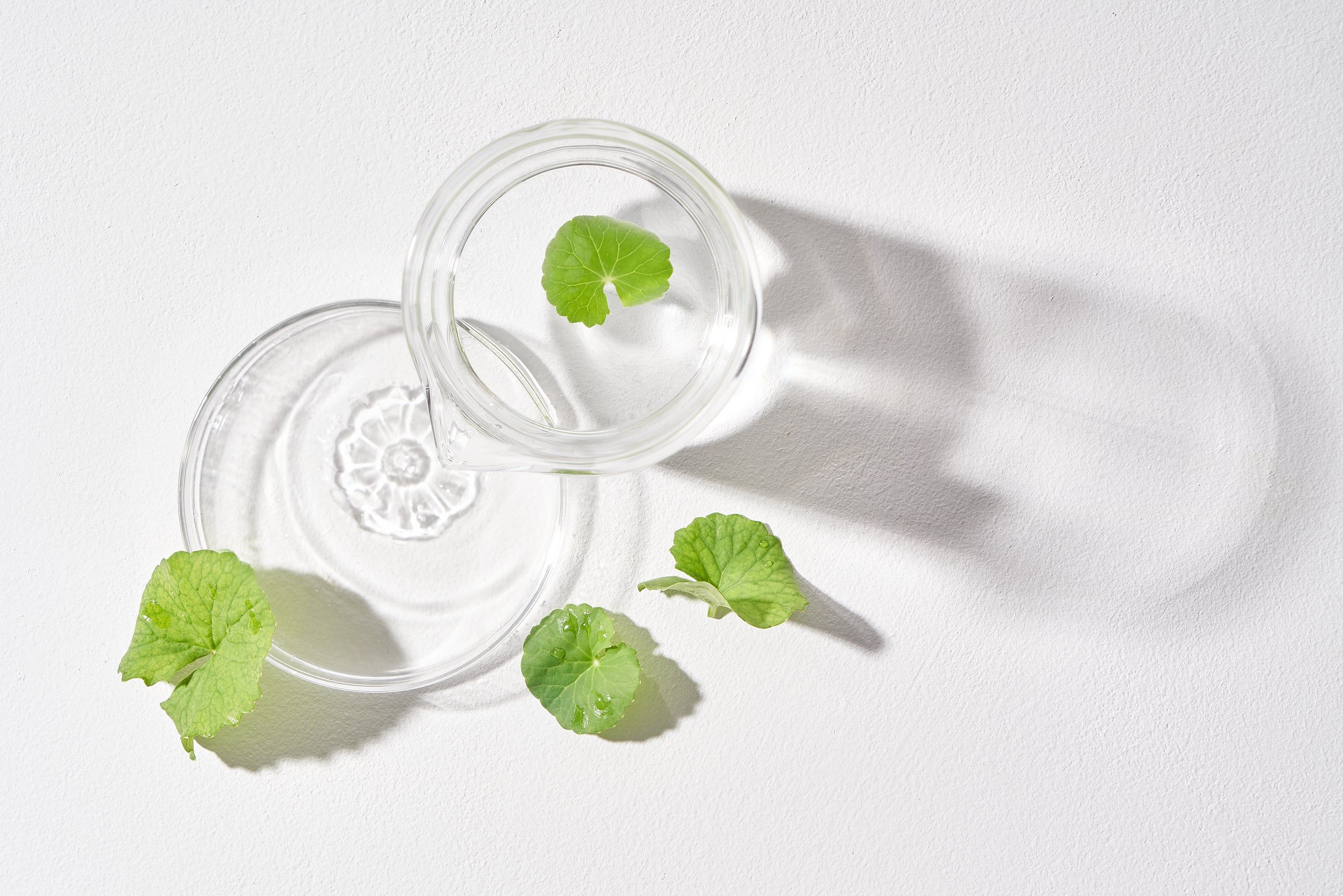 Flasche und Deckel mit grünen Blättern. Produkt auf weißem Hintergrund. Schattenwurf.
