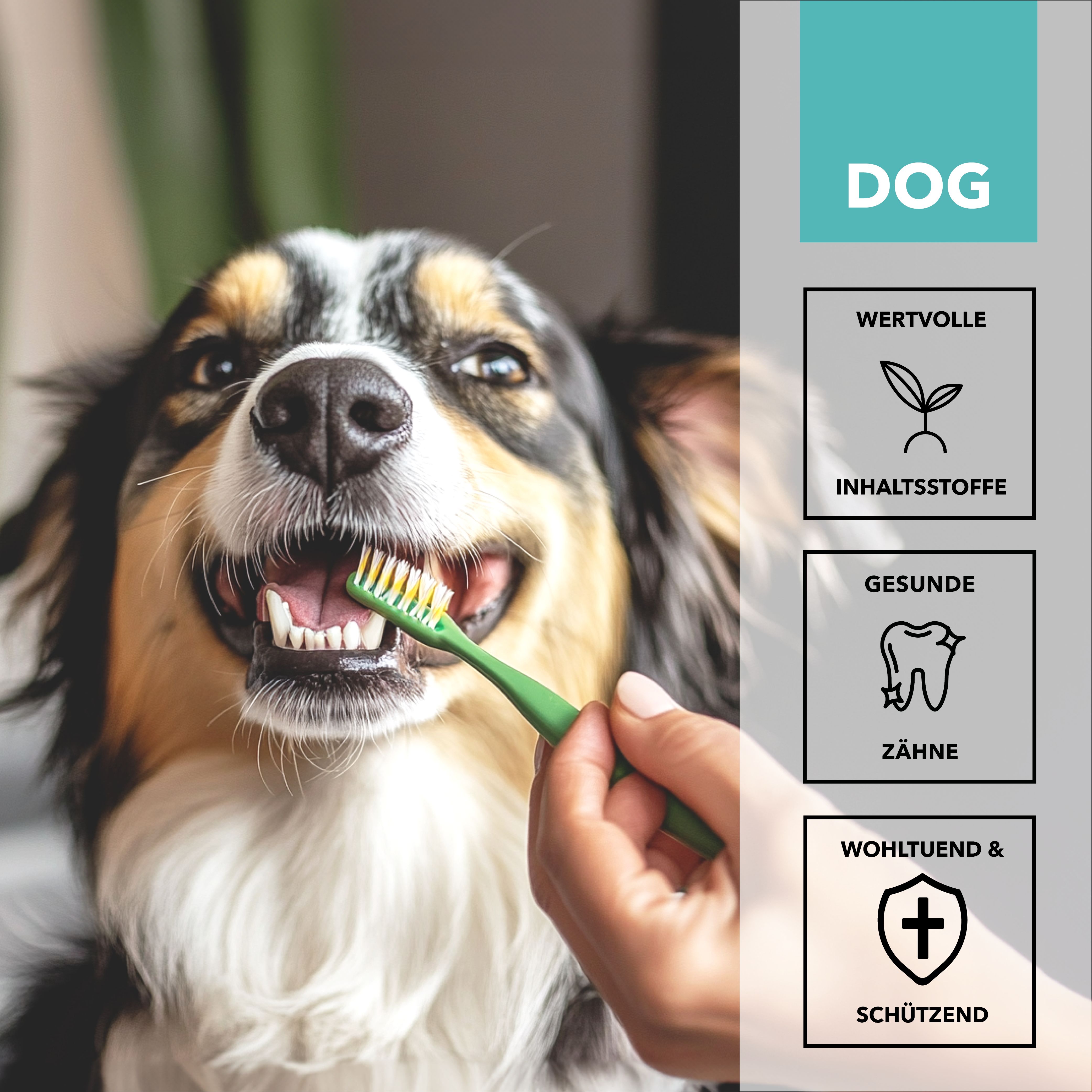 TAMACAN Dental Gel für Hunde - Zahnpflege mit CBD