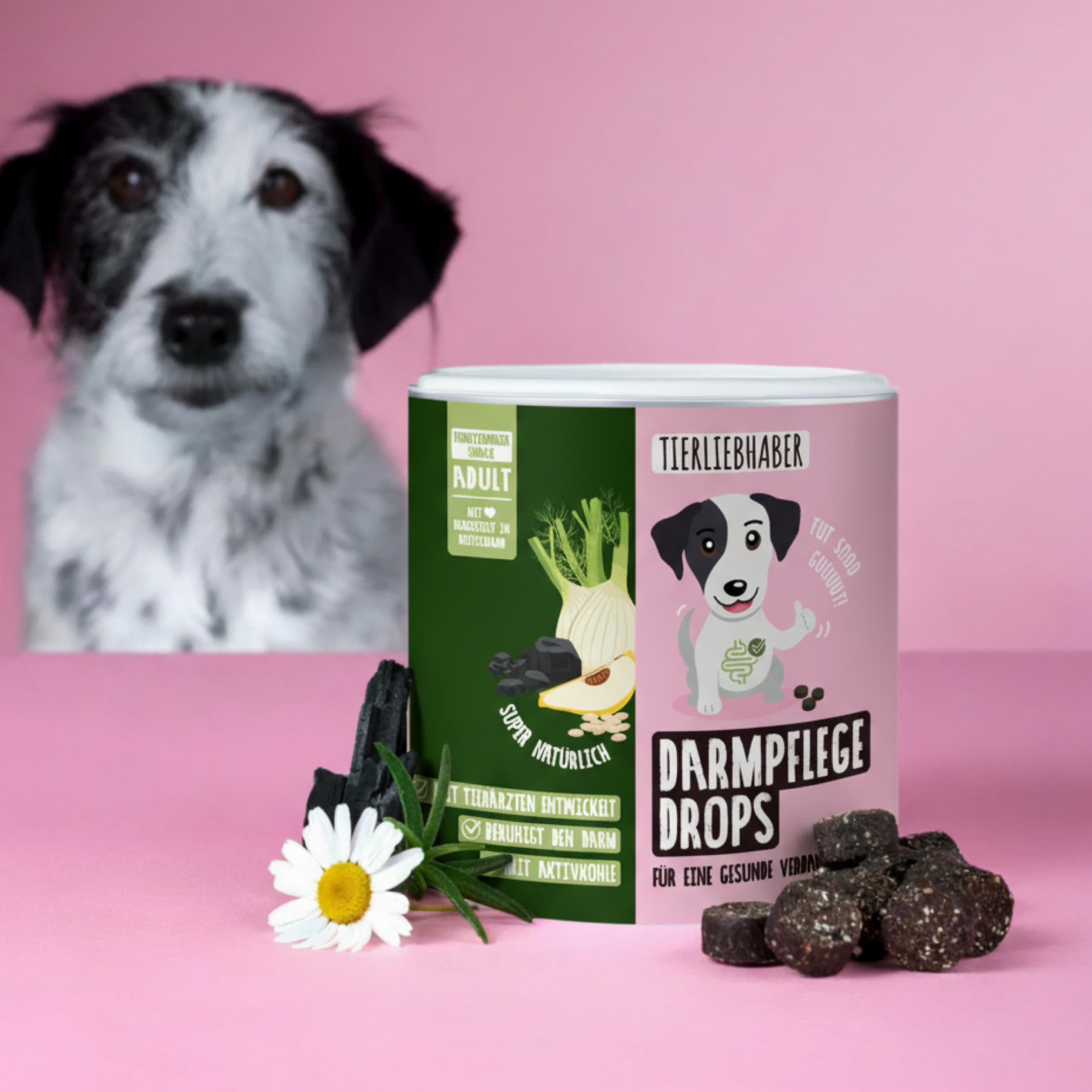 Dose mit Darmpflege Drops, Hund im Hintergrund. Auf der Dose: Logo, Produktname, Illustration. Daneben: Drops, Kamille, Fenchel.
