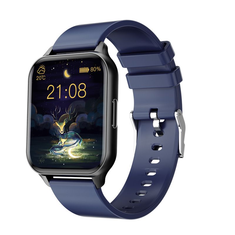 360GradFitness FITSmartWatch PRO2