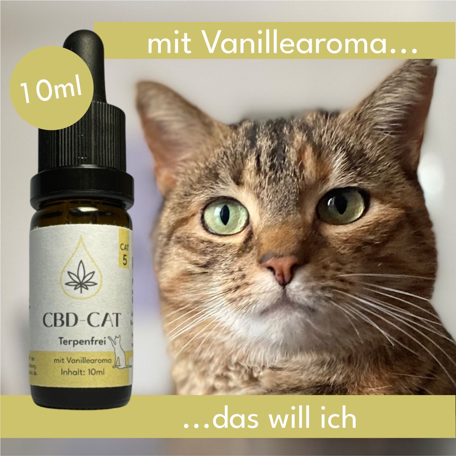 CBD Öl Flasche mit Pipette, 10ml, Terpenfrei, mit Vanillearoma. Nahaufnahme einer Katze.