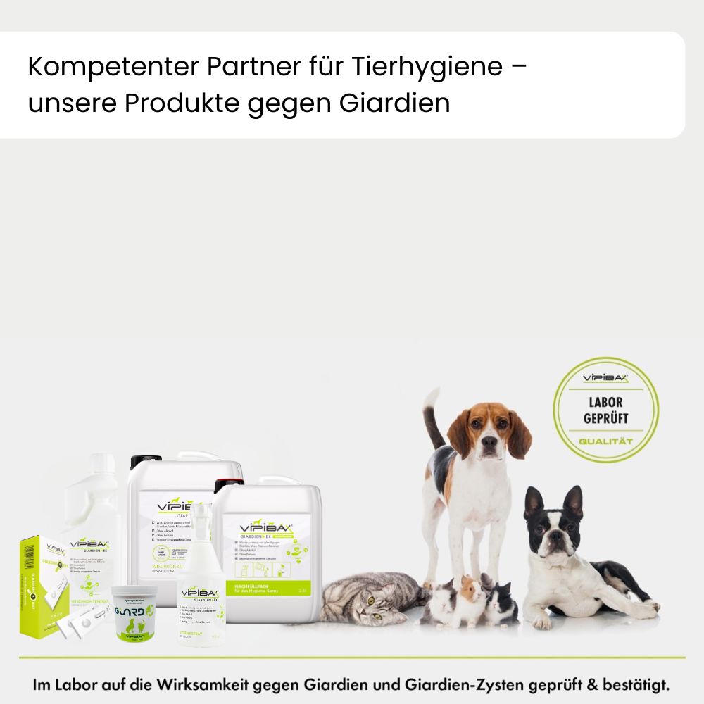 Verschiedene Produkte gegen Giardien. ViPiBaX Giardien EX® Spray, Kanister, Flaschen. Hunde, Katzen und Meerschweinchen.